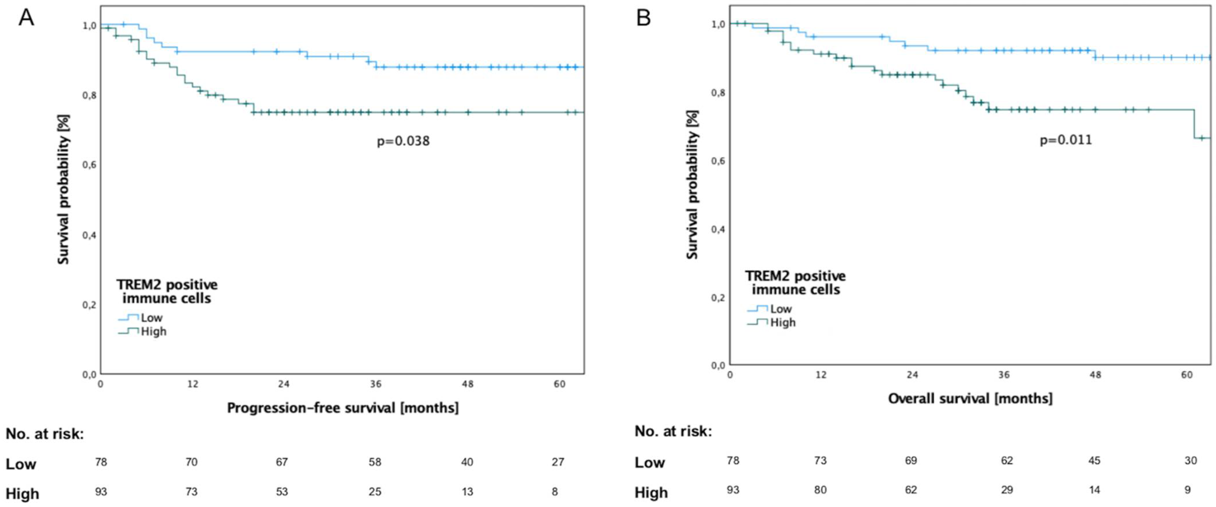 Cancers 14 04635 g002