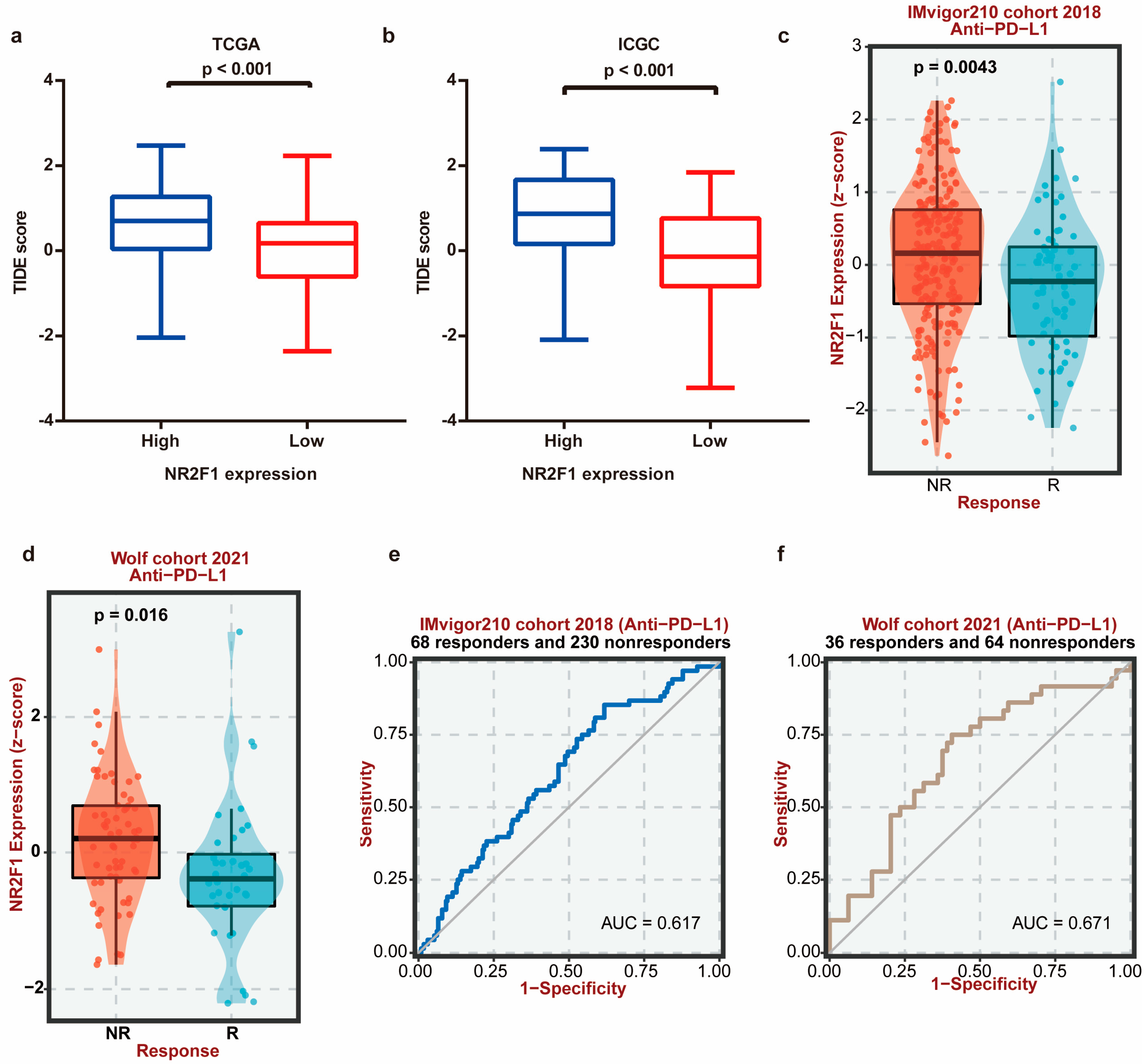 Cancers 14 04639 g008
