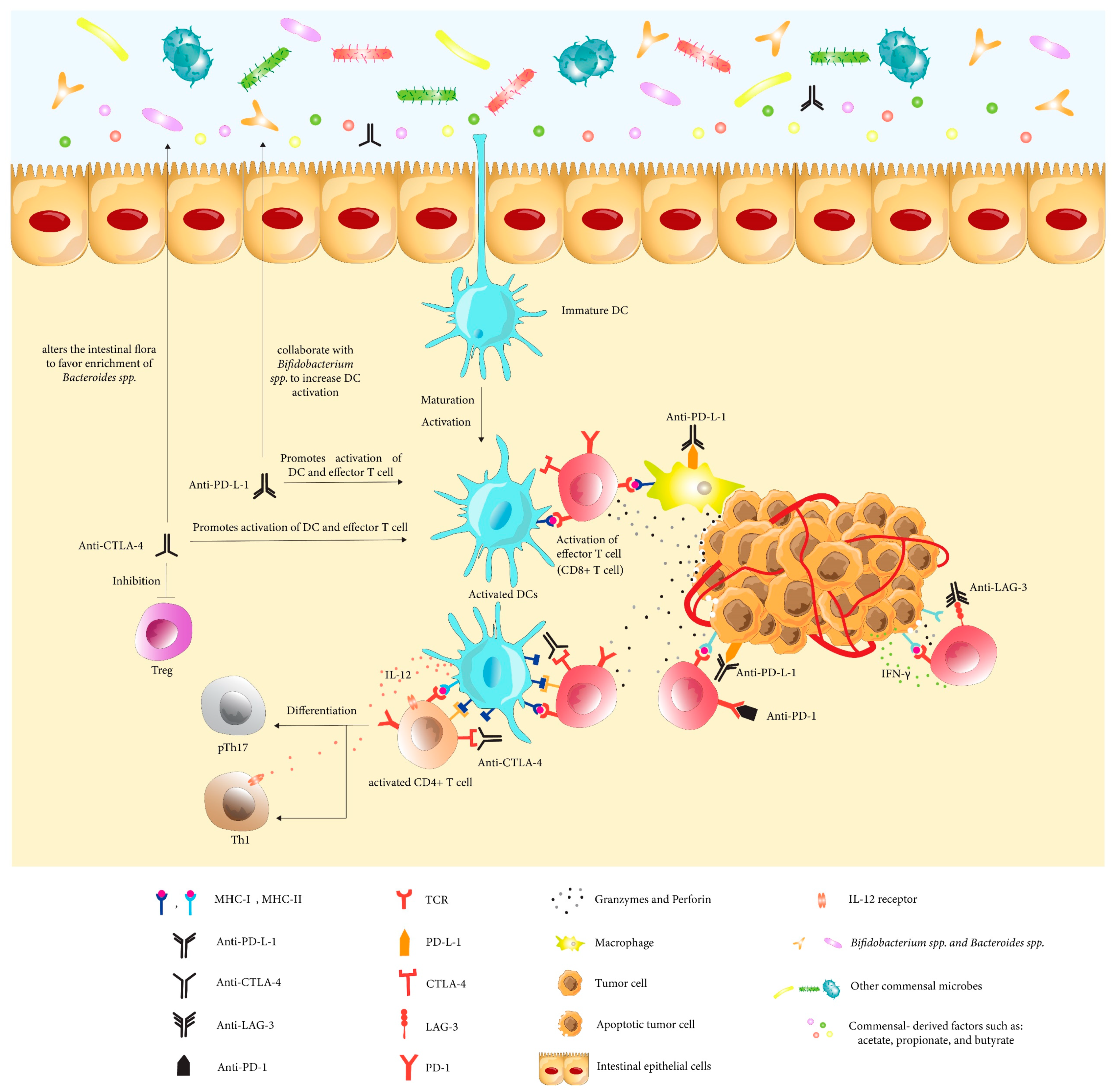Cancers 14 04641 g001 Cancers 14 04641 g001