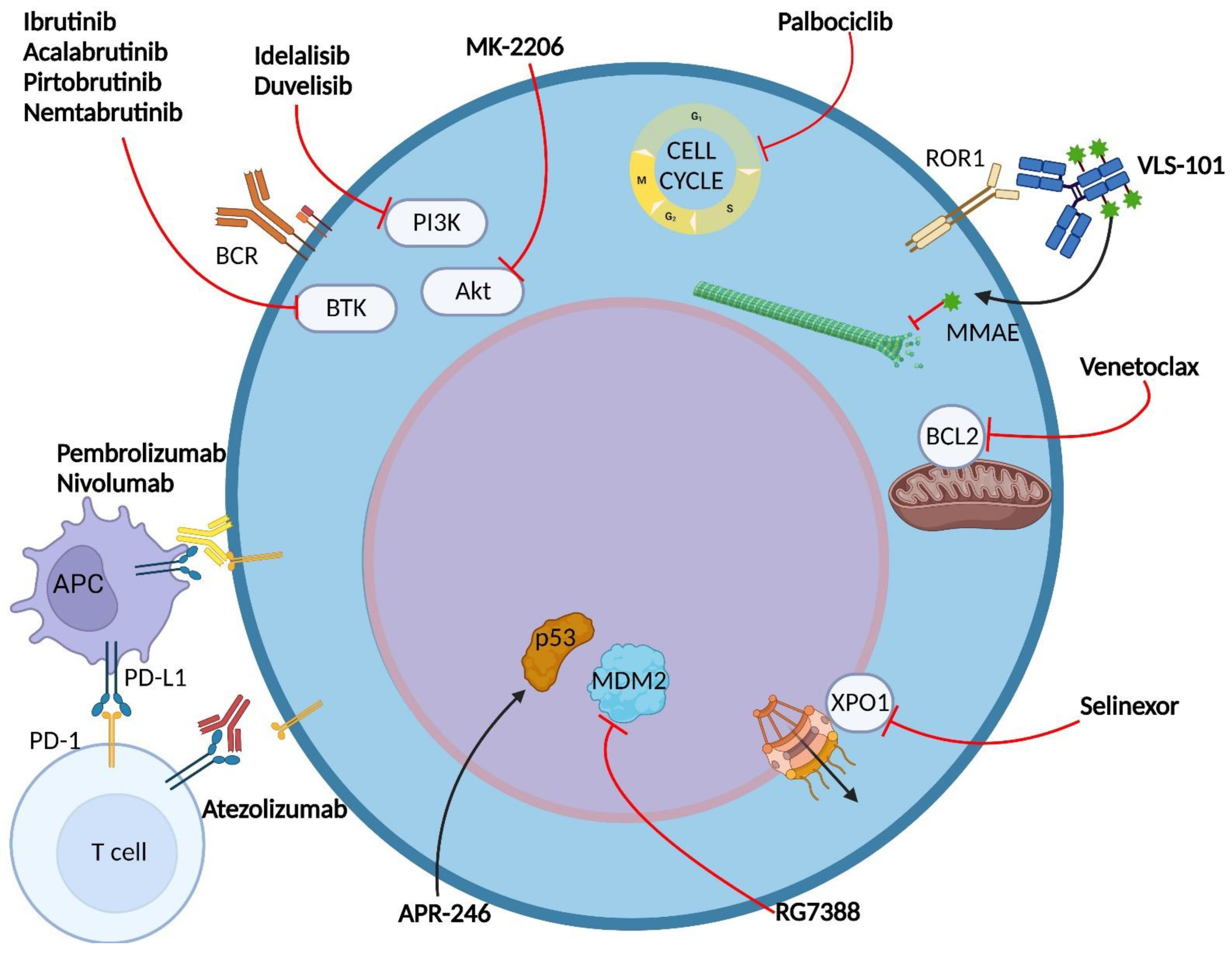 Cancers 14 04644 g002 Cancers 14 04644 g002