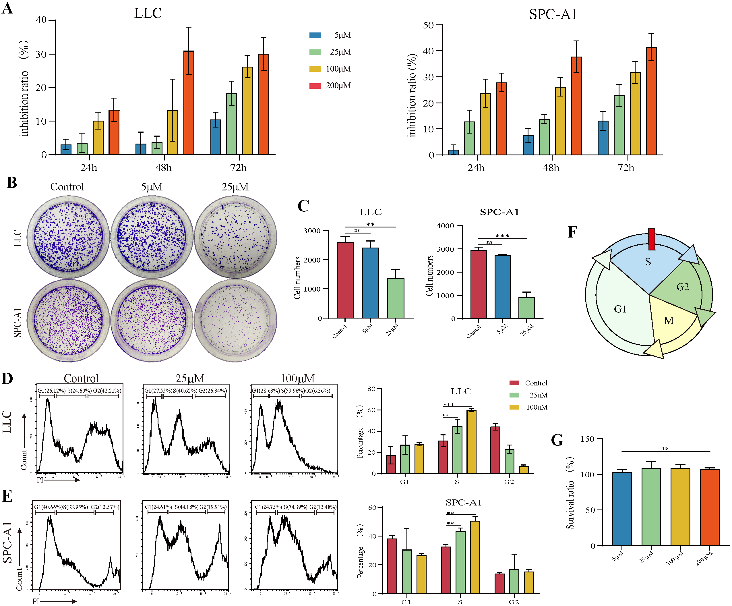 Cancers 14 04645 g001