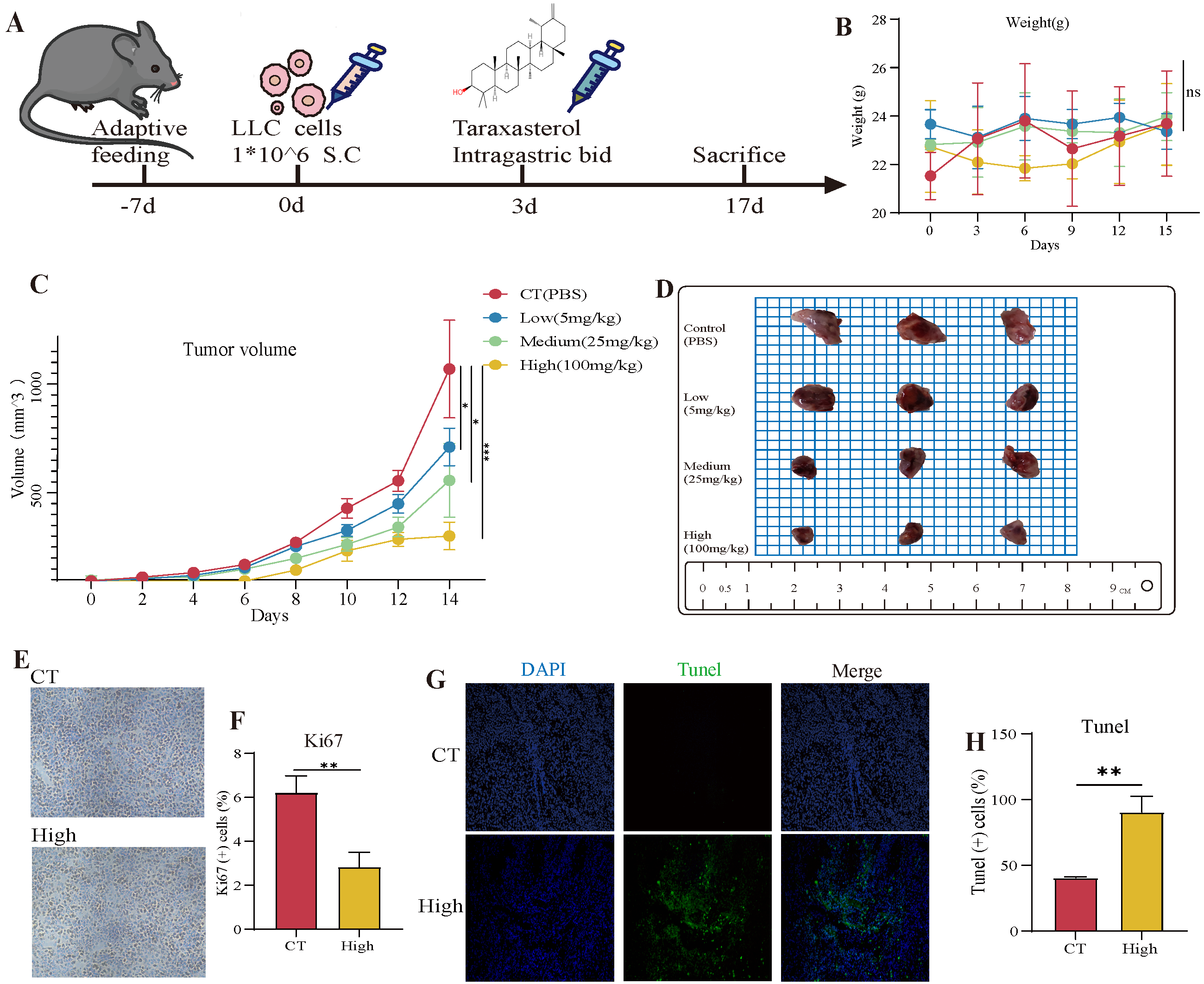 Cancers 14 04645 g006