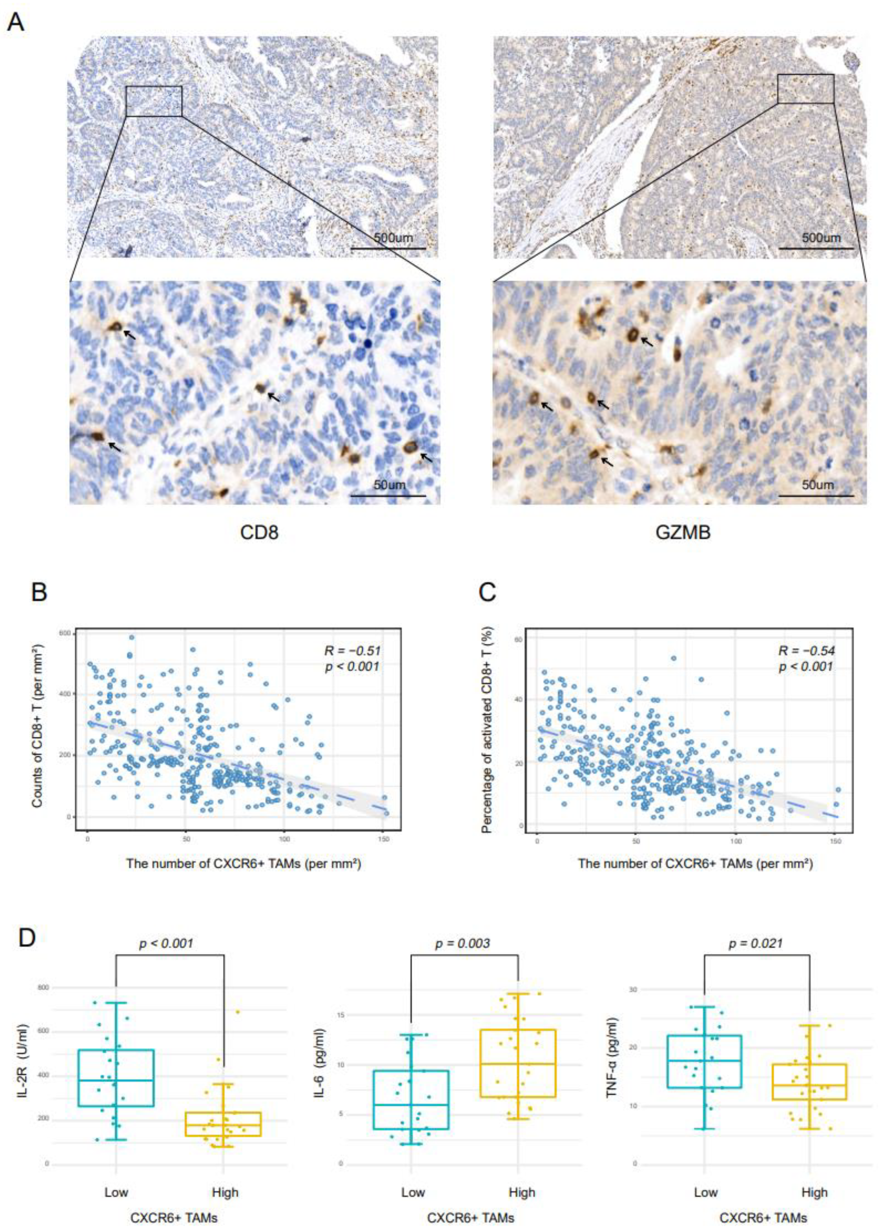 Cancers 14 04646 g004 Cancers 14 04646 g004
