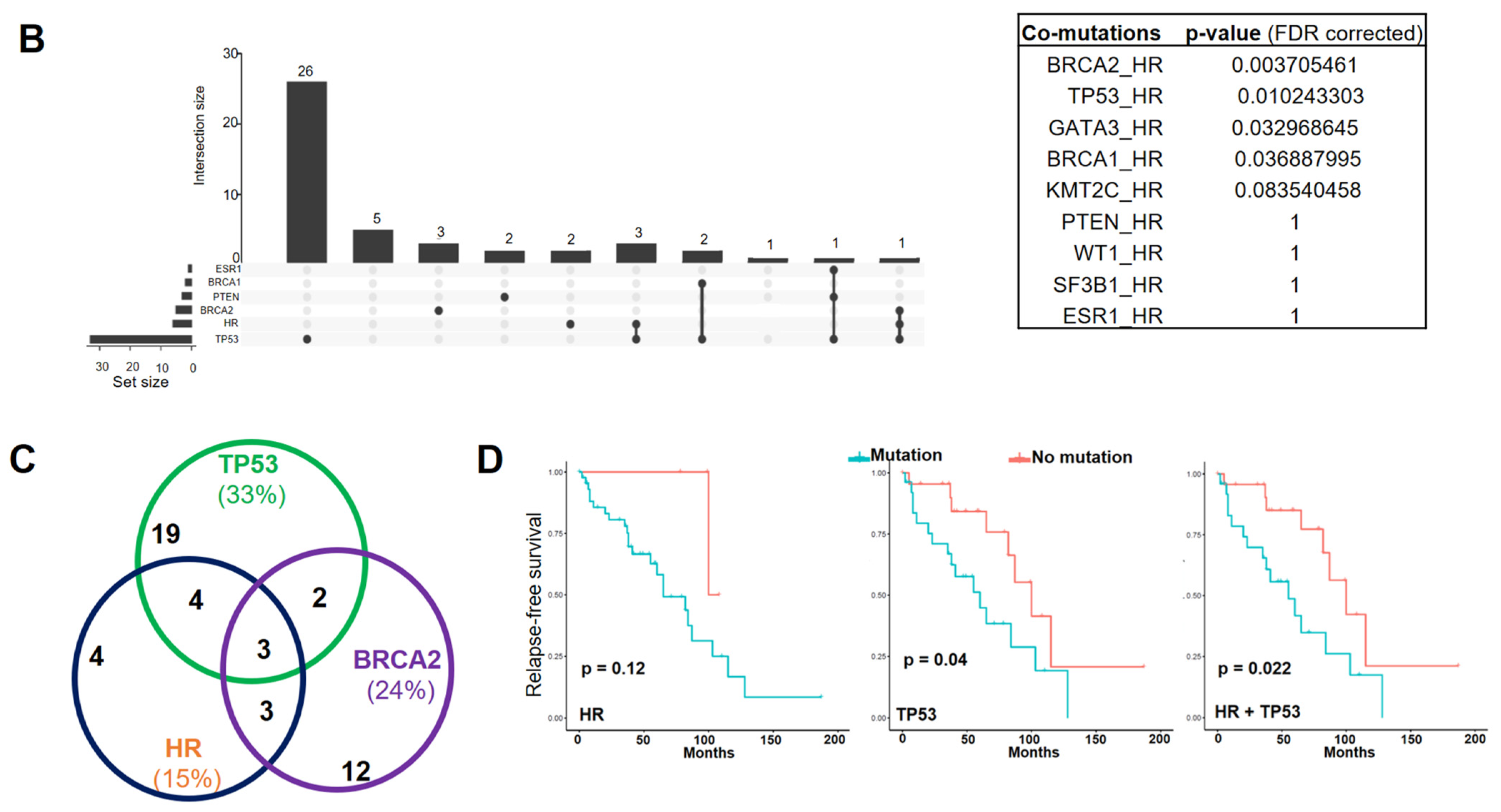 Cancers 14 04648 g001b Cancers 14 04648 g001b