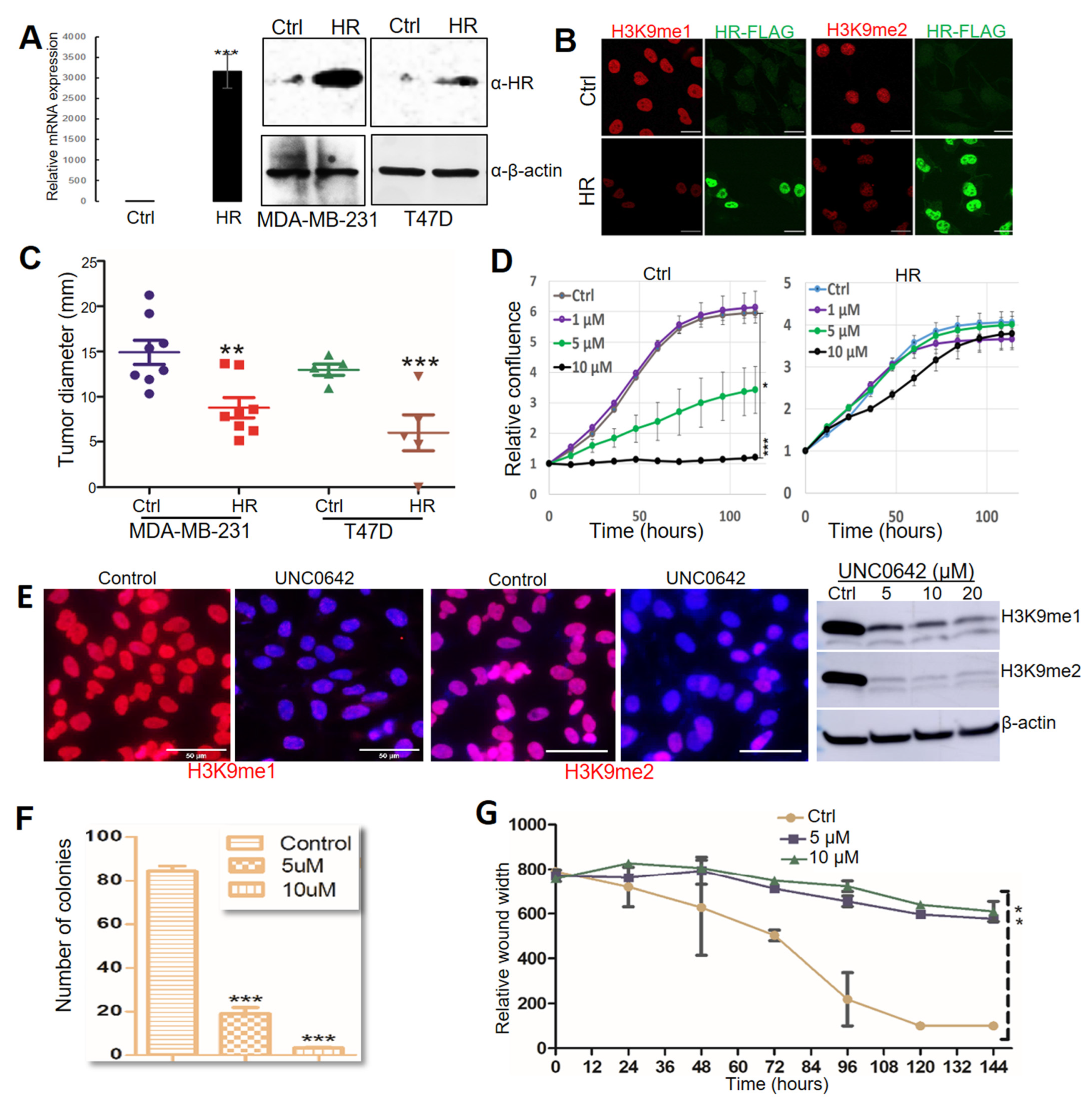 Cancers 14 04648 g003 Cancers 14 04648 g003