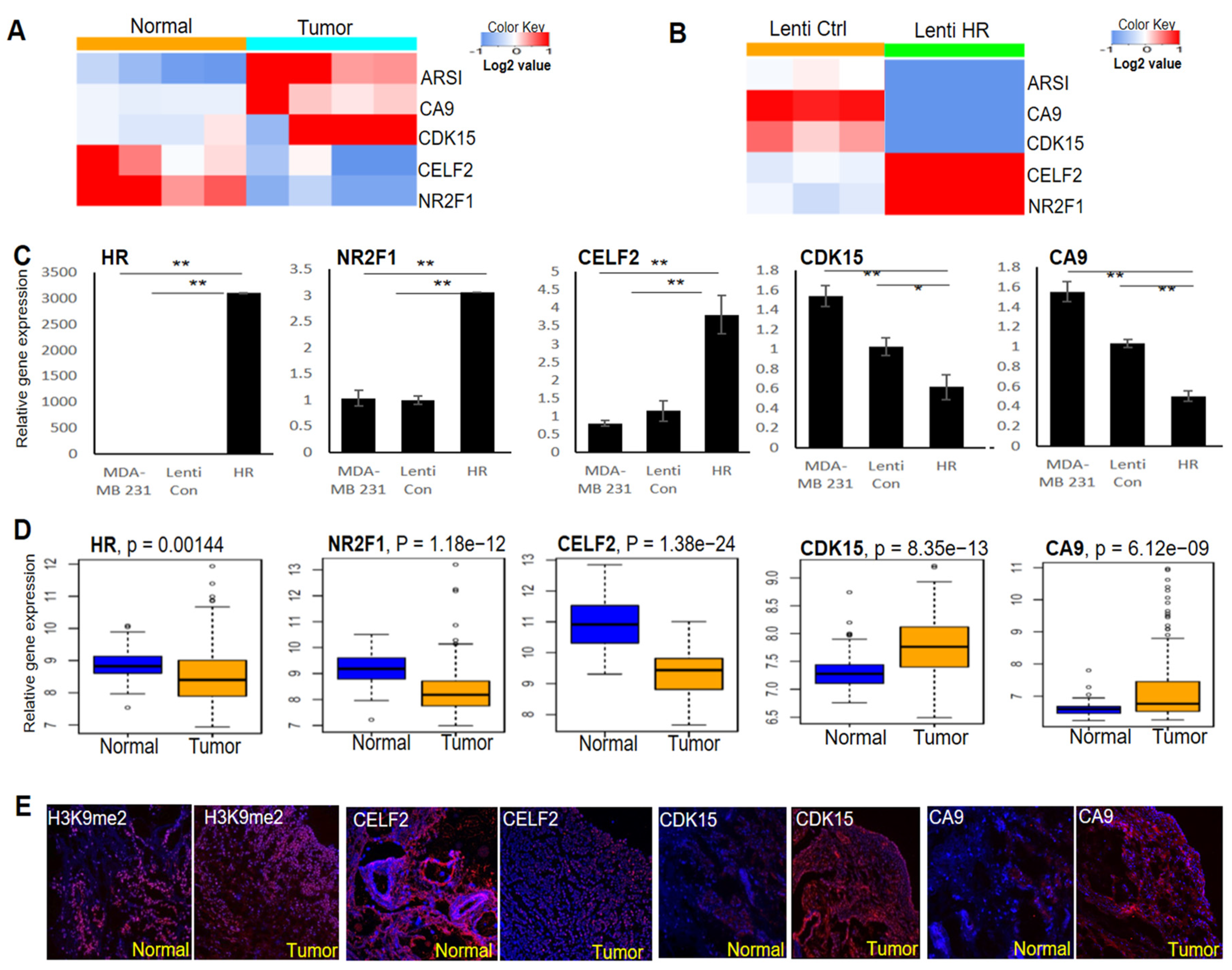 Cancers 14 04648 g004 Cancers 14 04648 g004