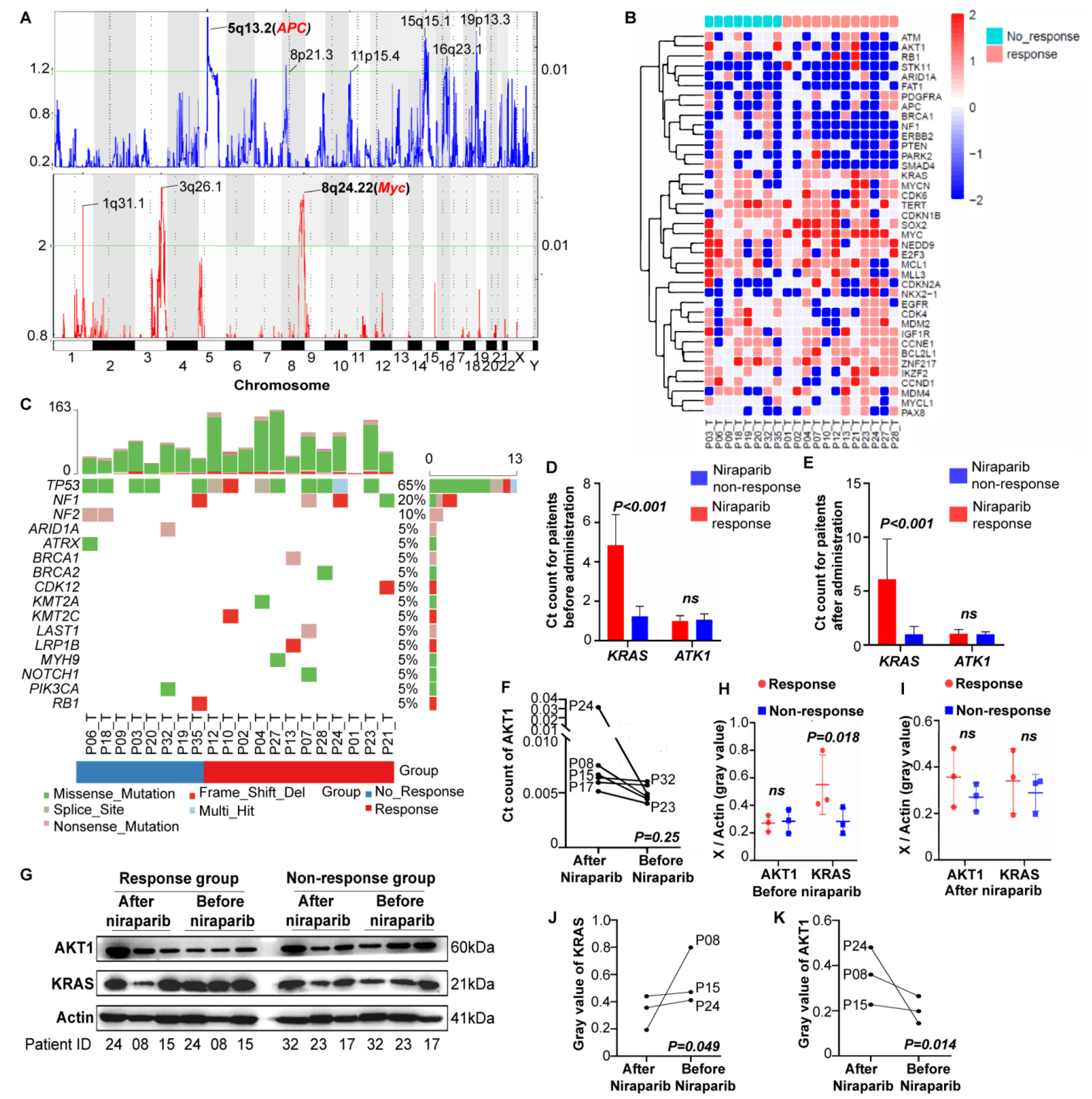 Cancers 14 04649 g002 Cancers 14 04649 g002