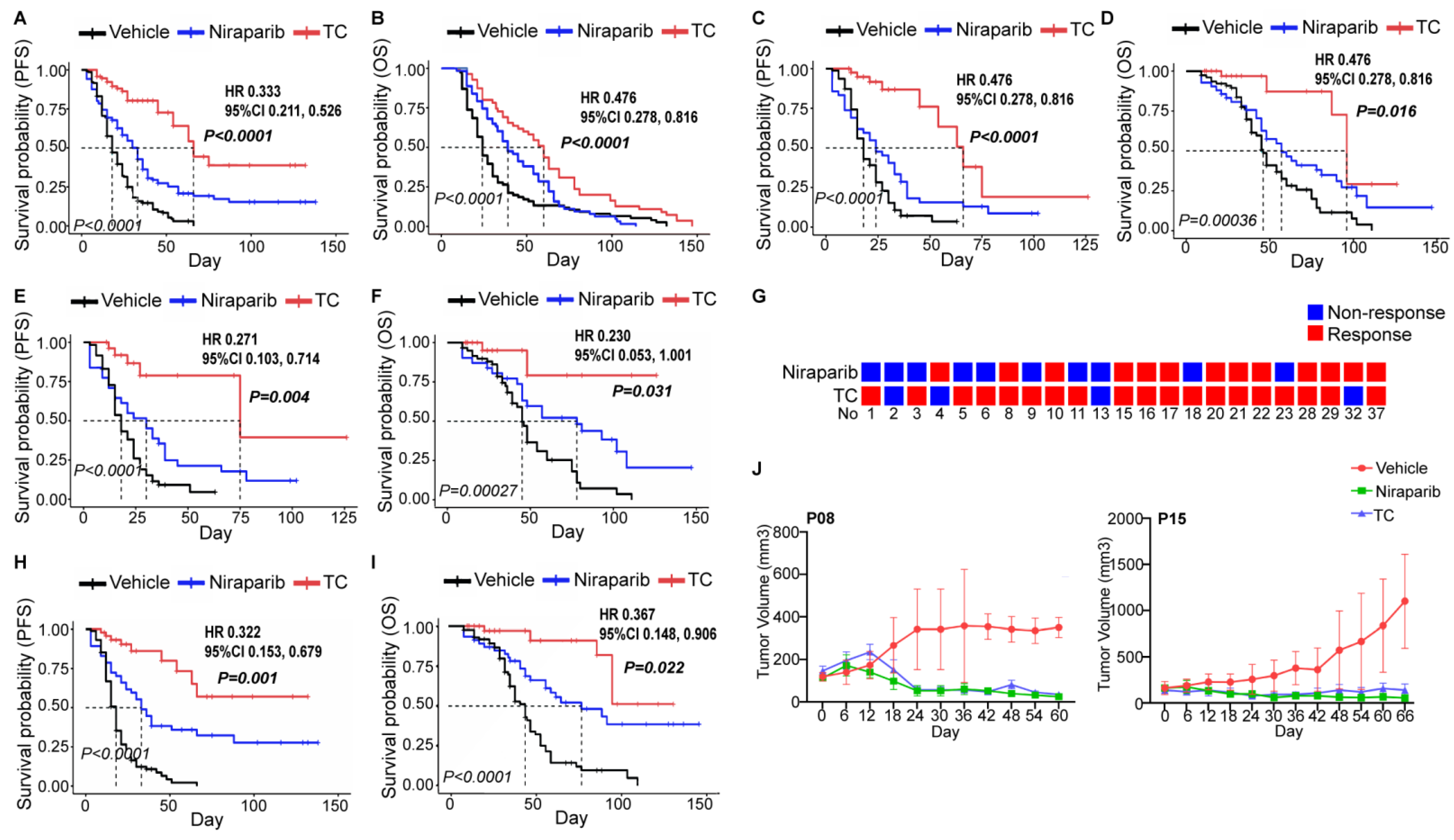Cancers 14 04649 g004 Cancers 14 04649 g004