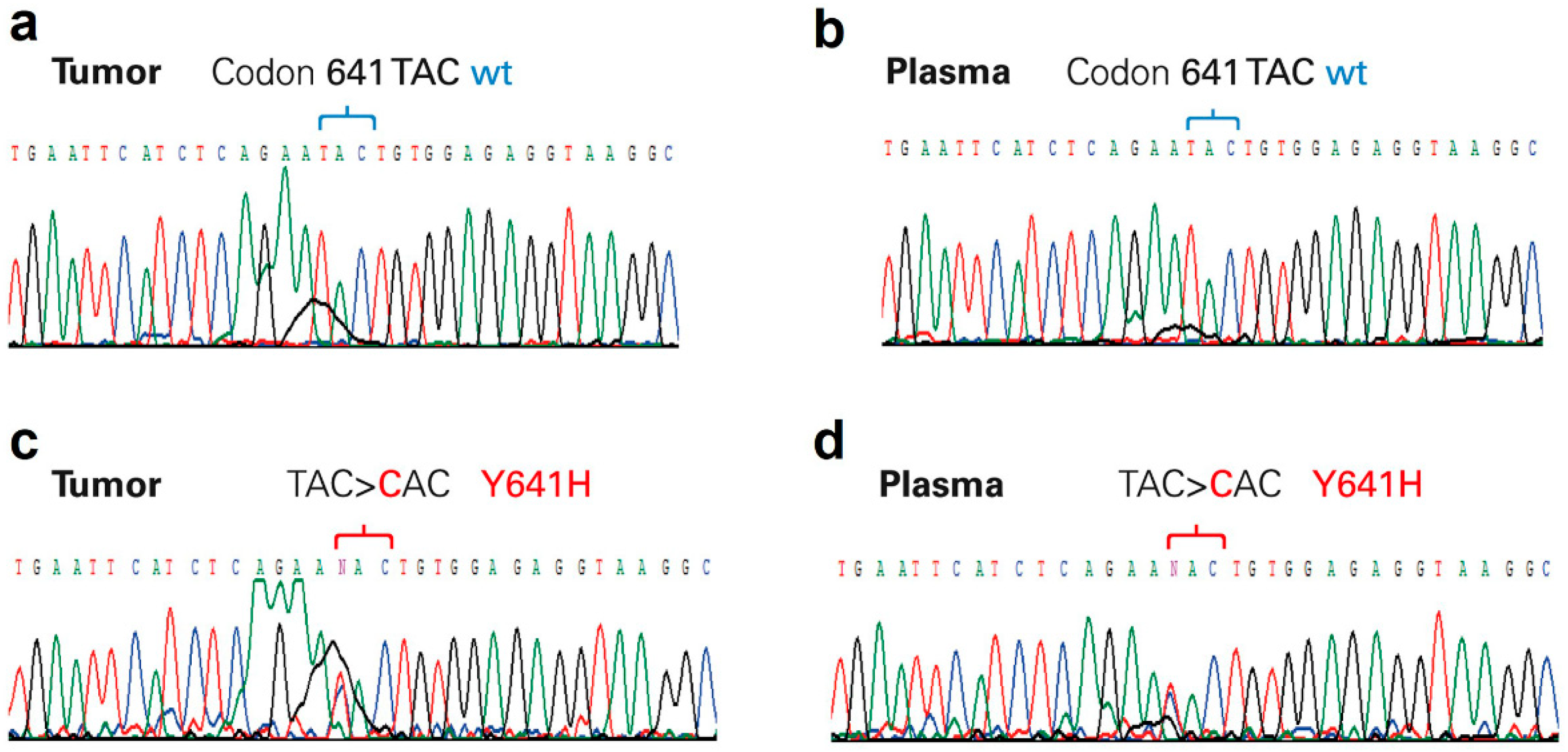 その他 CHRONIC GRAPHICA:01 Lin28, a major translation reprogramming factor, gains