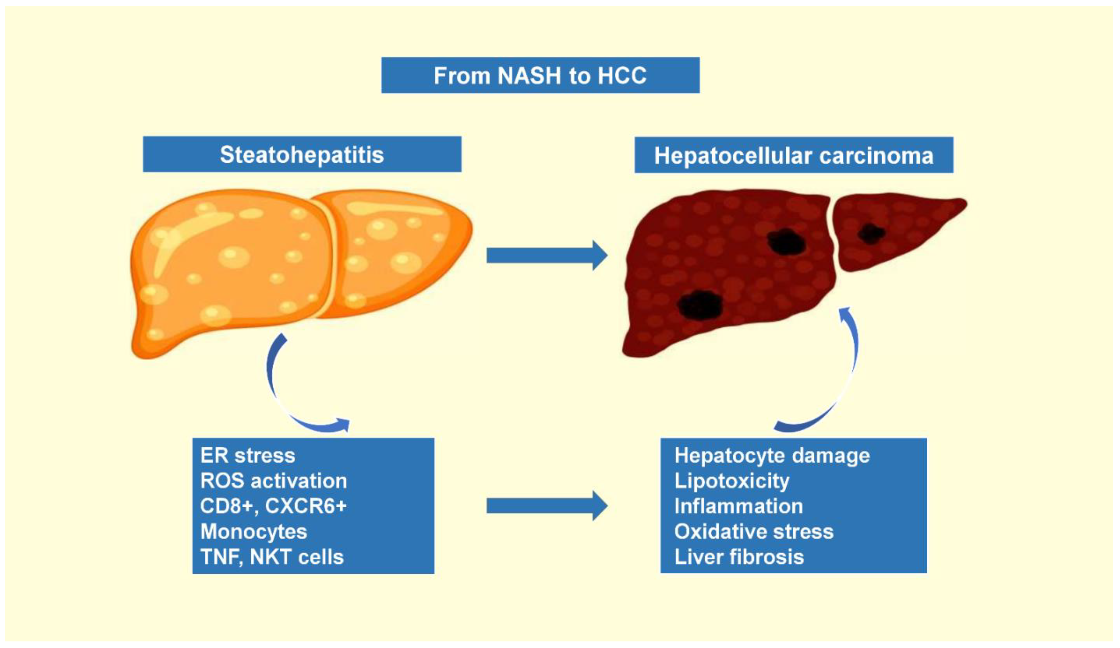 Cancers 14 04651 g001 Cancers 14 04651 g001