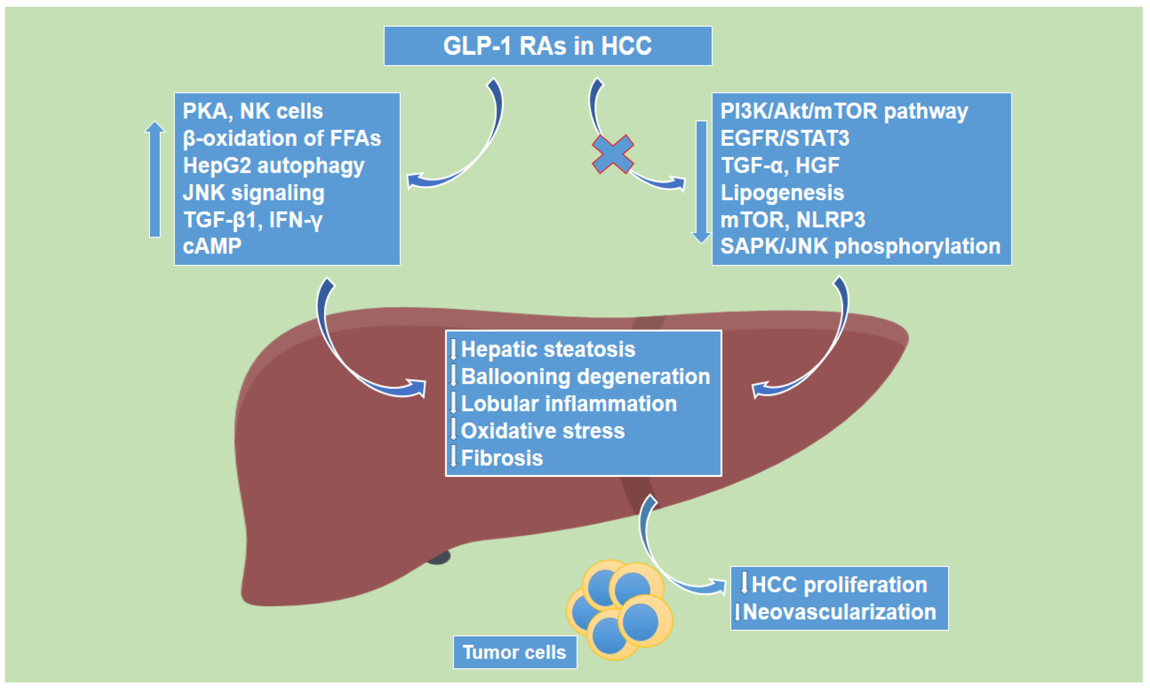 Cancers 14 04651 g002 Cancers 14 04651 g002