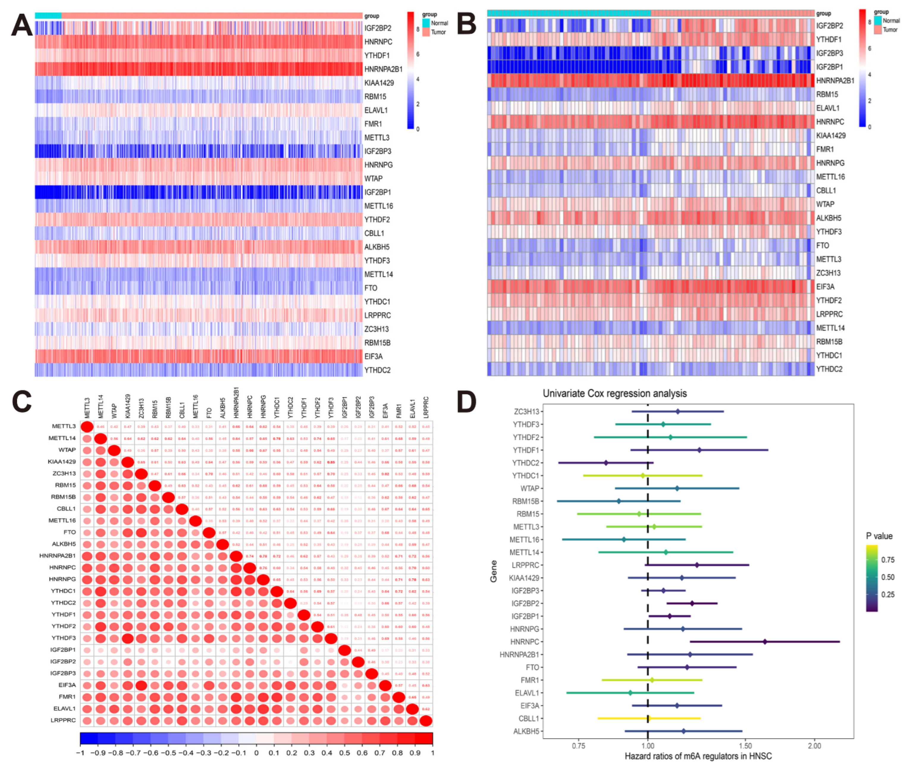 Cancers 14 04657 g001 Cancers 14 04657 g001