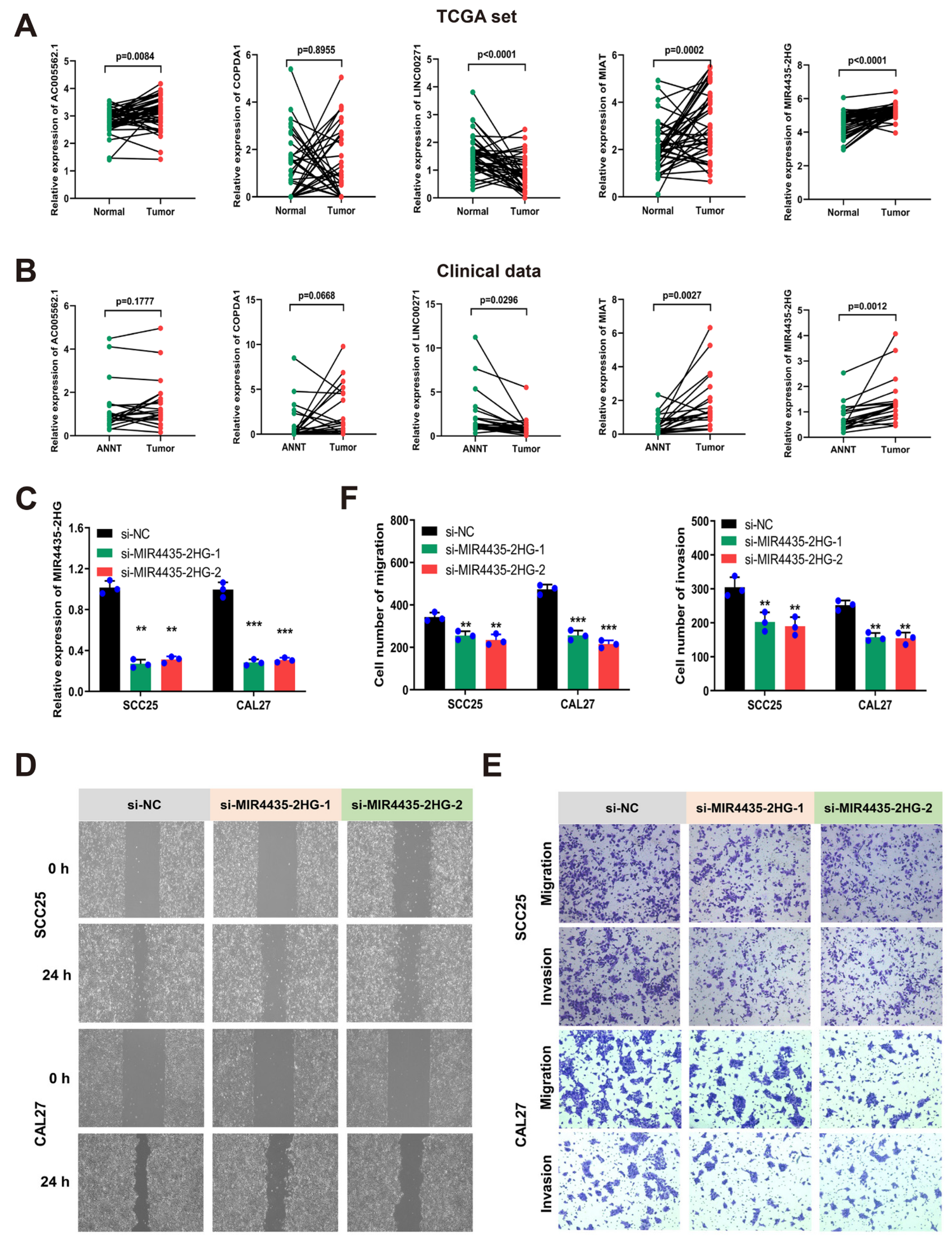 Cancers 14 04657 g007 Cancers 14 04657 g007