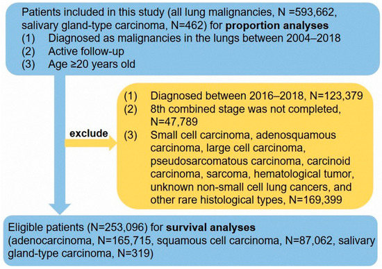 The Clinical and Prognostic Characteristics of Primary Salivary Gland-Type Carcinoma in the Lung: A Population-Based Study The Clinical and Prognostic Characteristics of Primary Salivary Gland-Type Carcinoma in the Lung: A Population-Based Study