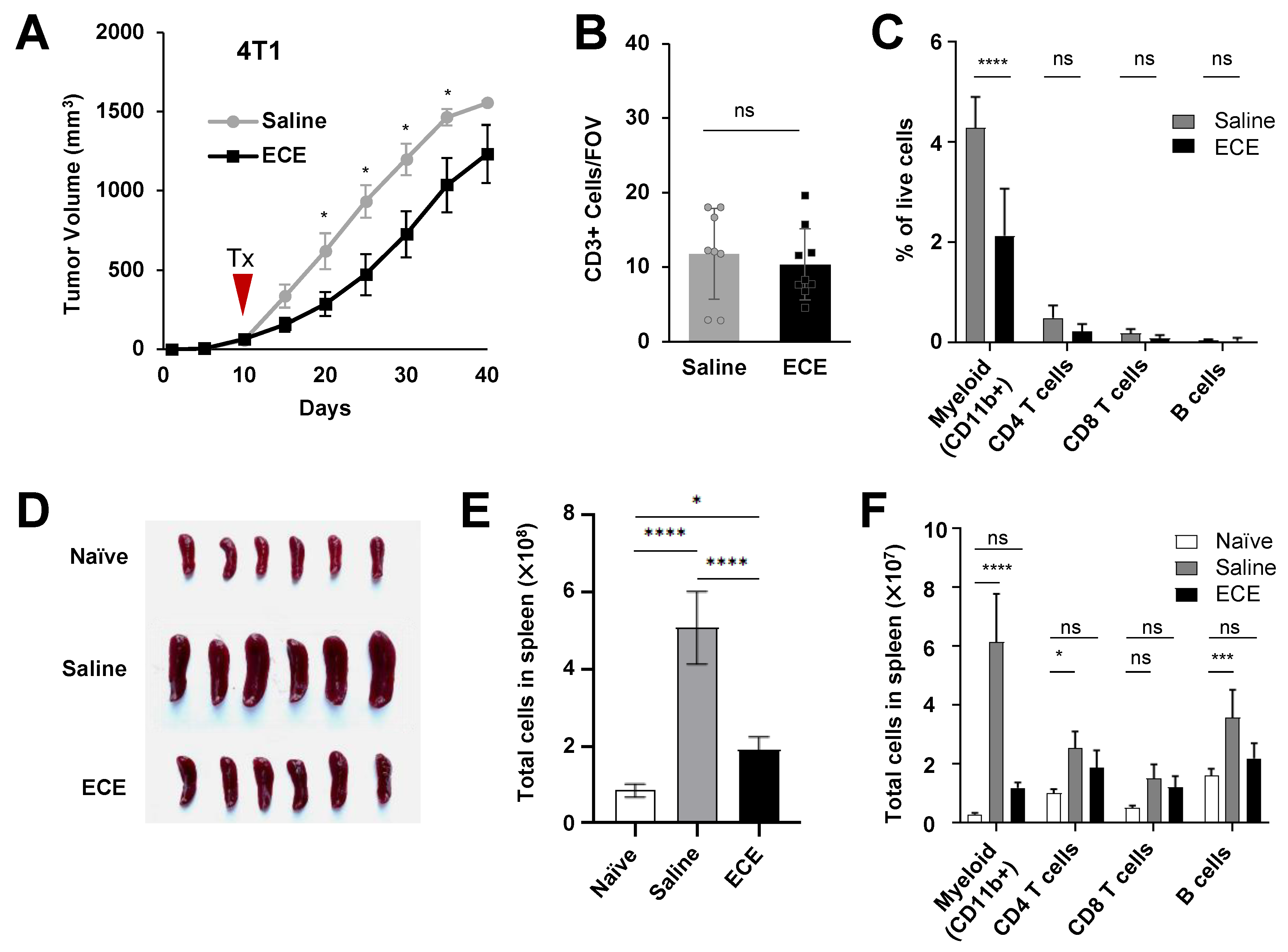 Cancers 14 04669 g002 Cancers 14 04669 g002