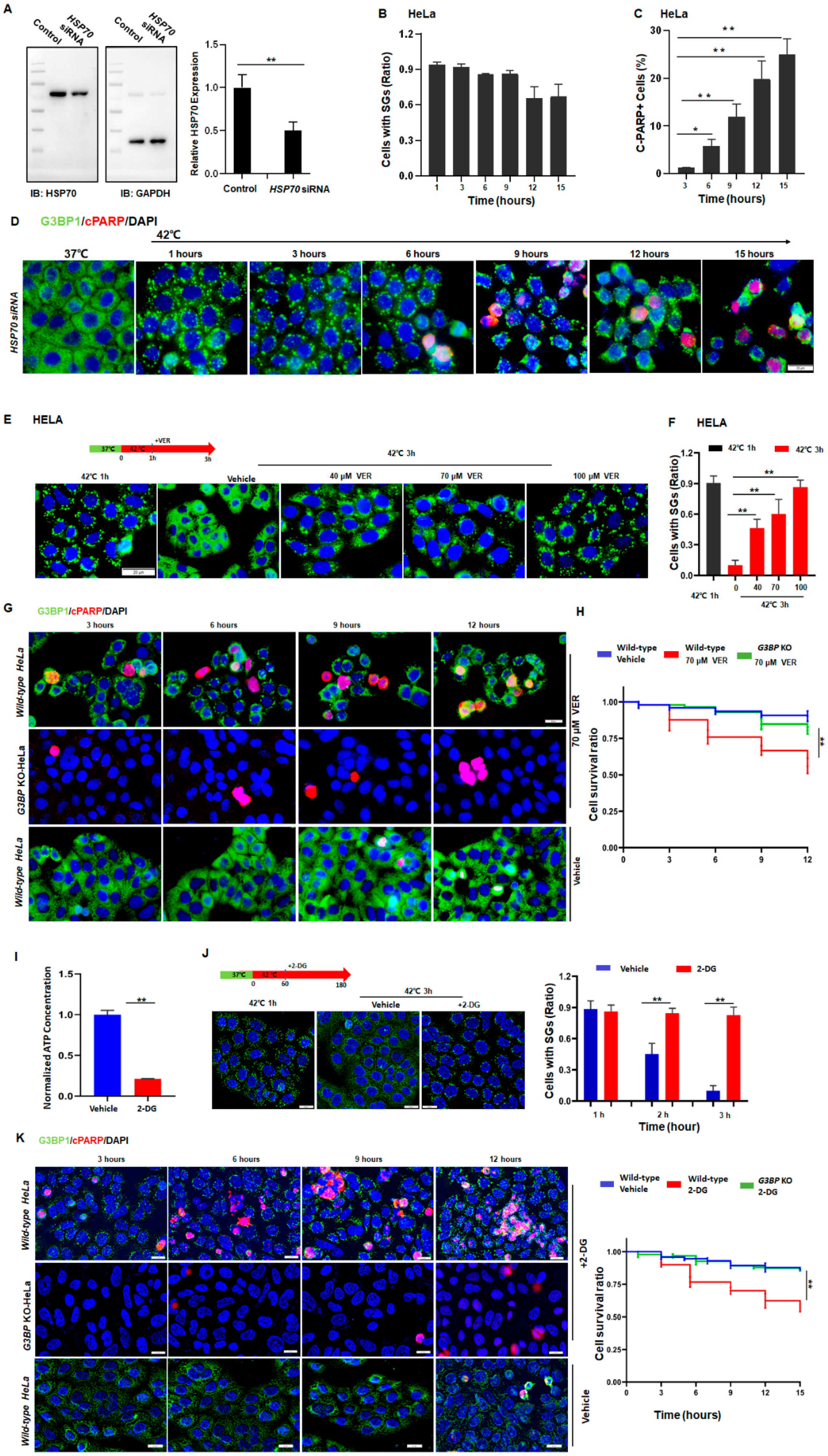Cancers 14 04671 g004 Cancers 14 04671 g004