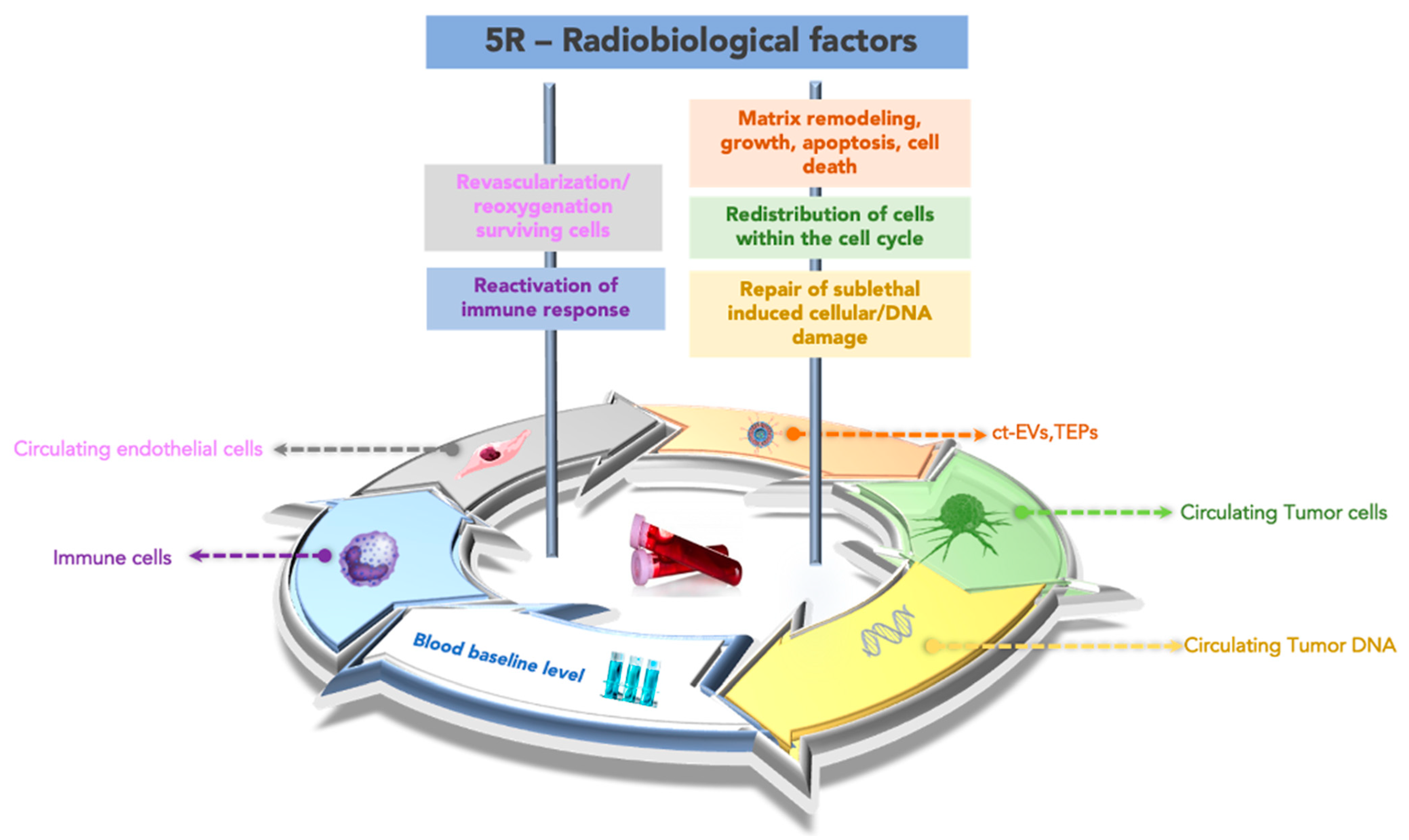 Cancers 14 04676 g003 Cancers 14 04676 g003