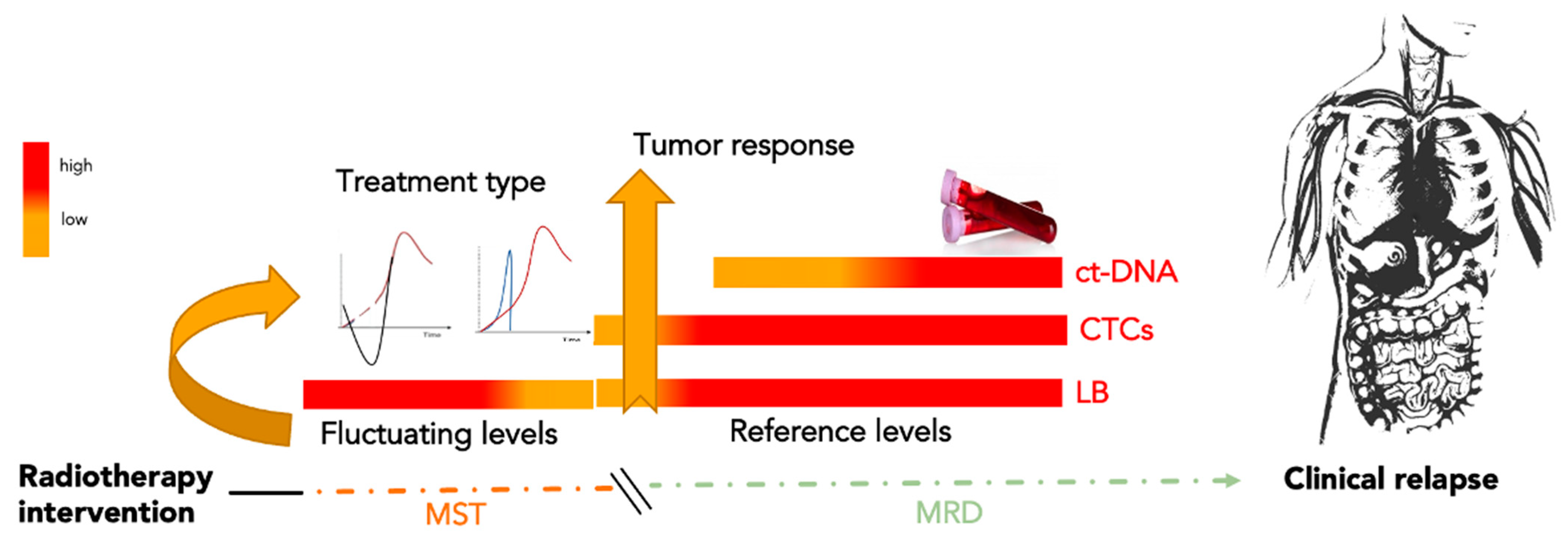 Cancers 14 04676 g004 Cancers 14 04676 g004