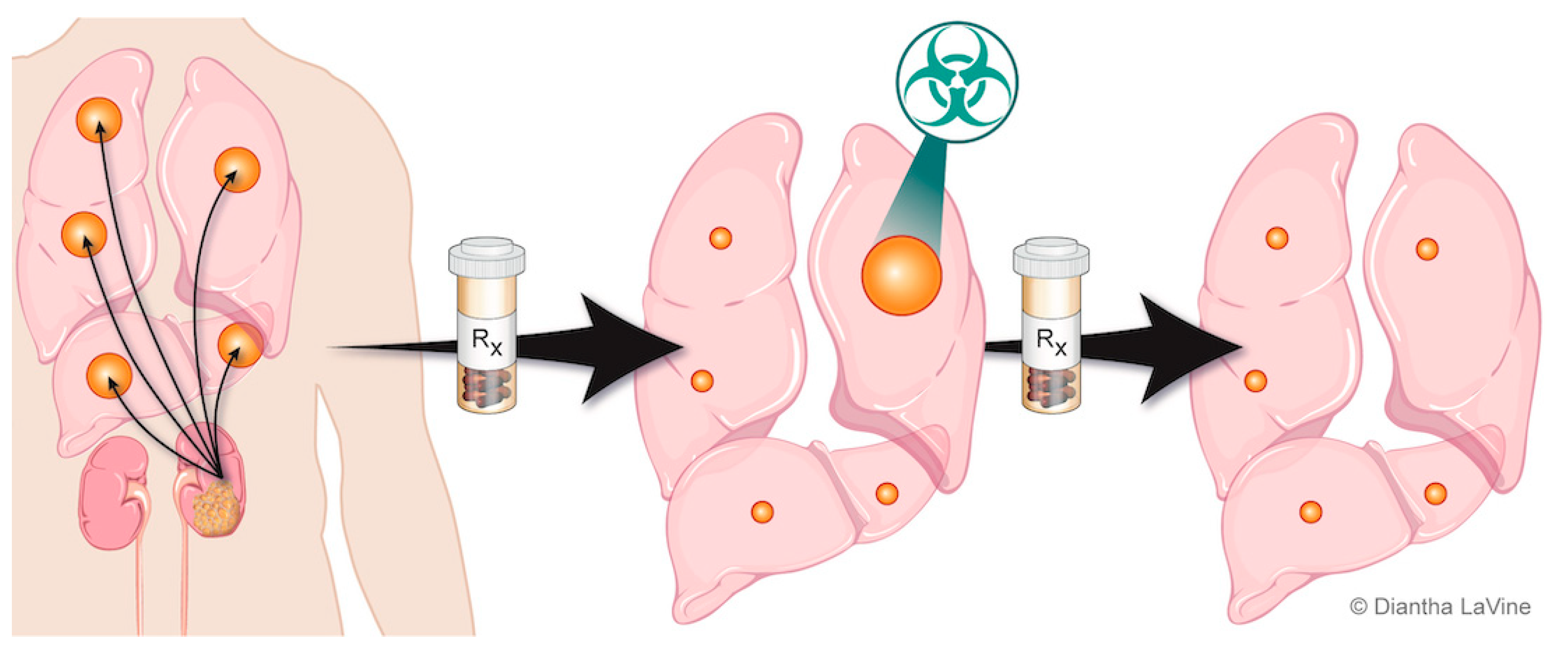 Cancers 14 04693 g002 Cancers 14 04693 g002