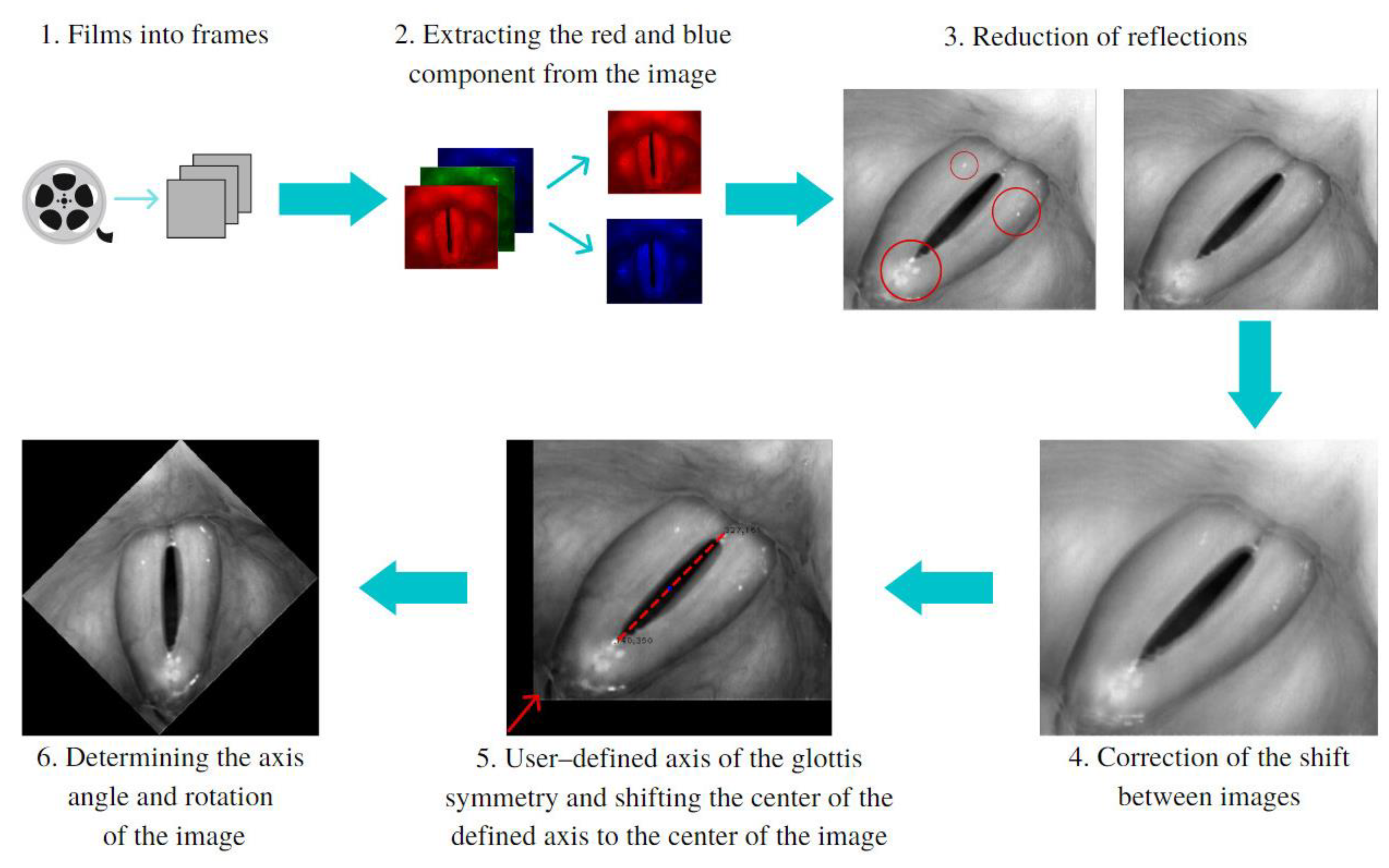 Cancers 14 04697 g001