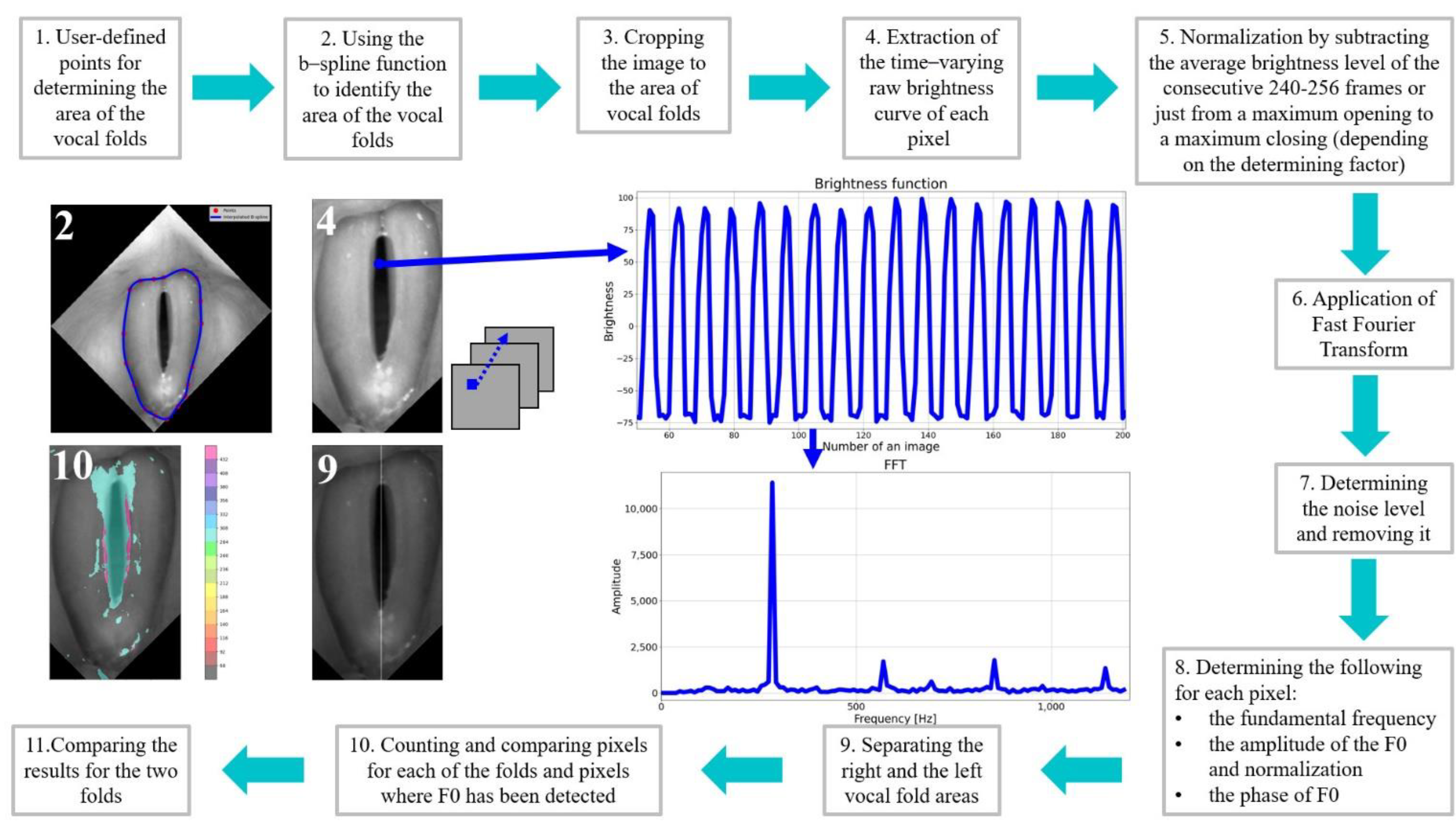 Cancers 14 04697 g002