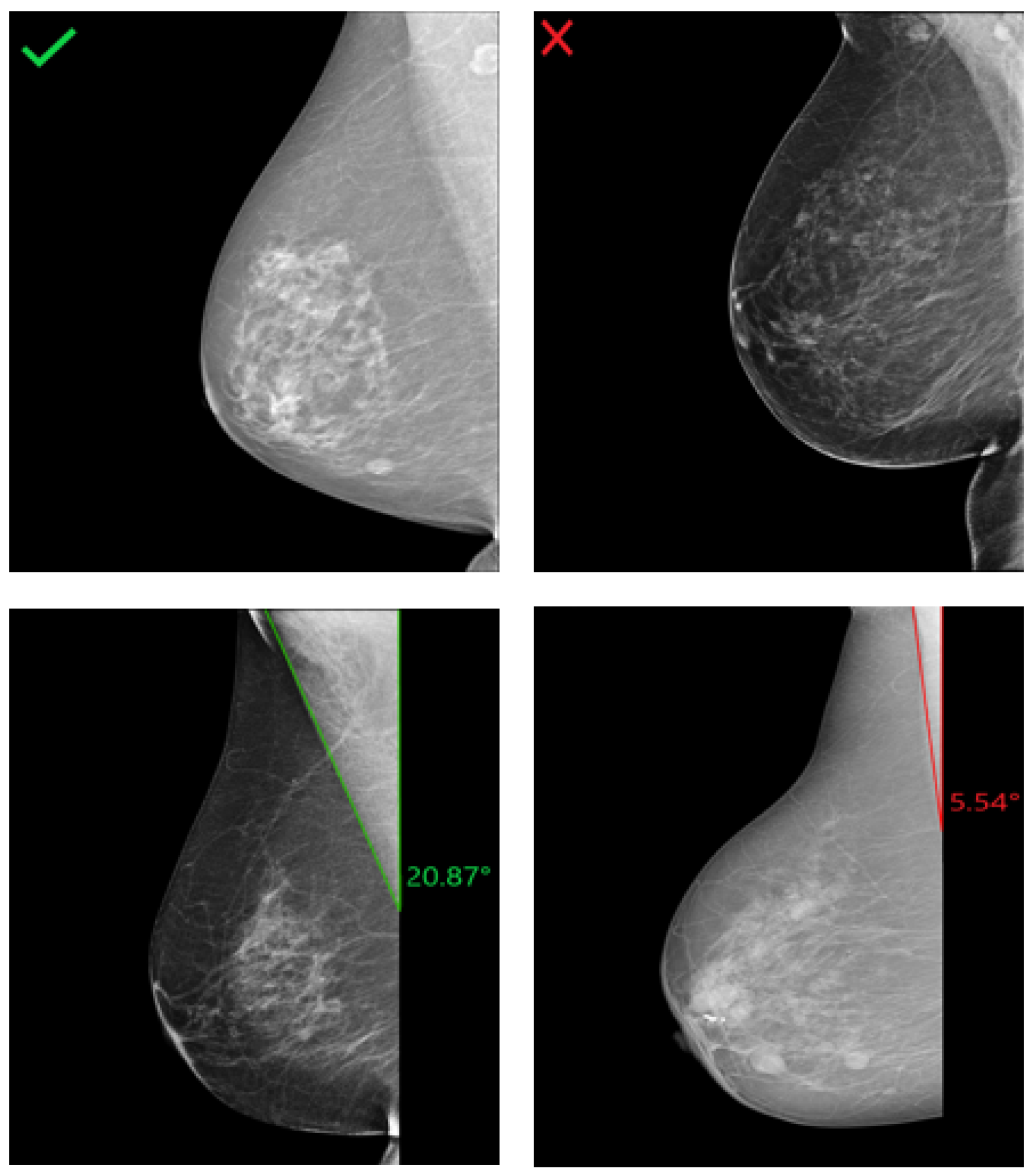 Cancers 14 04704 g016 Cancers 14 04704 g016