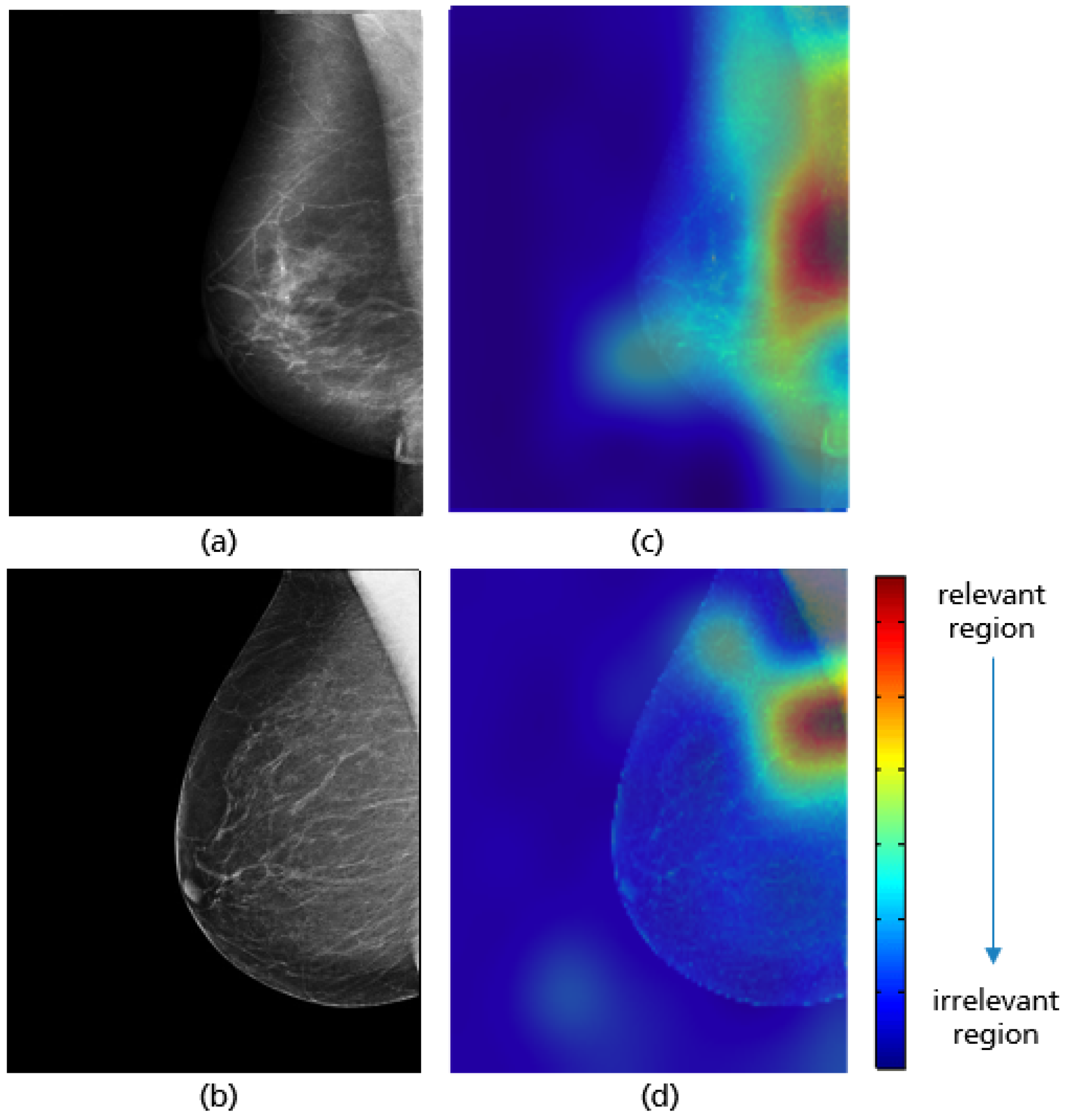Cancers 14 04704 g021 Cancers 14 04704 g021