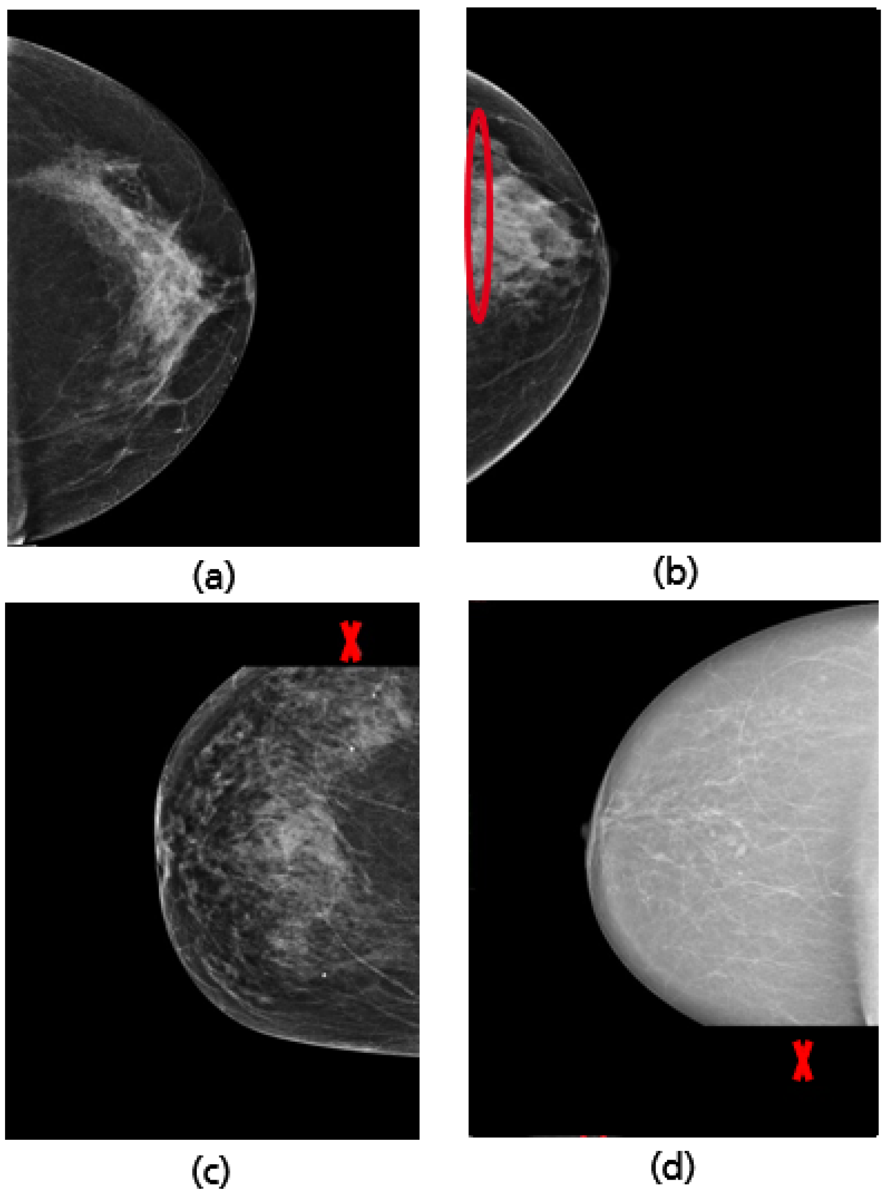 Cancers 14 04704 g030 Cancers 14 04704 g030