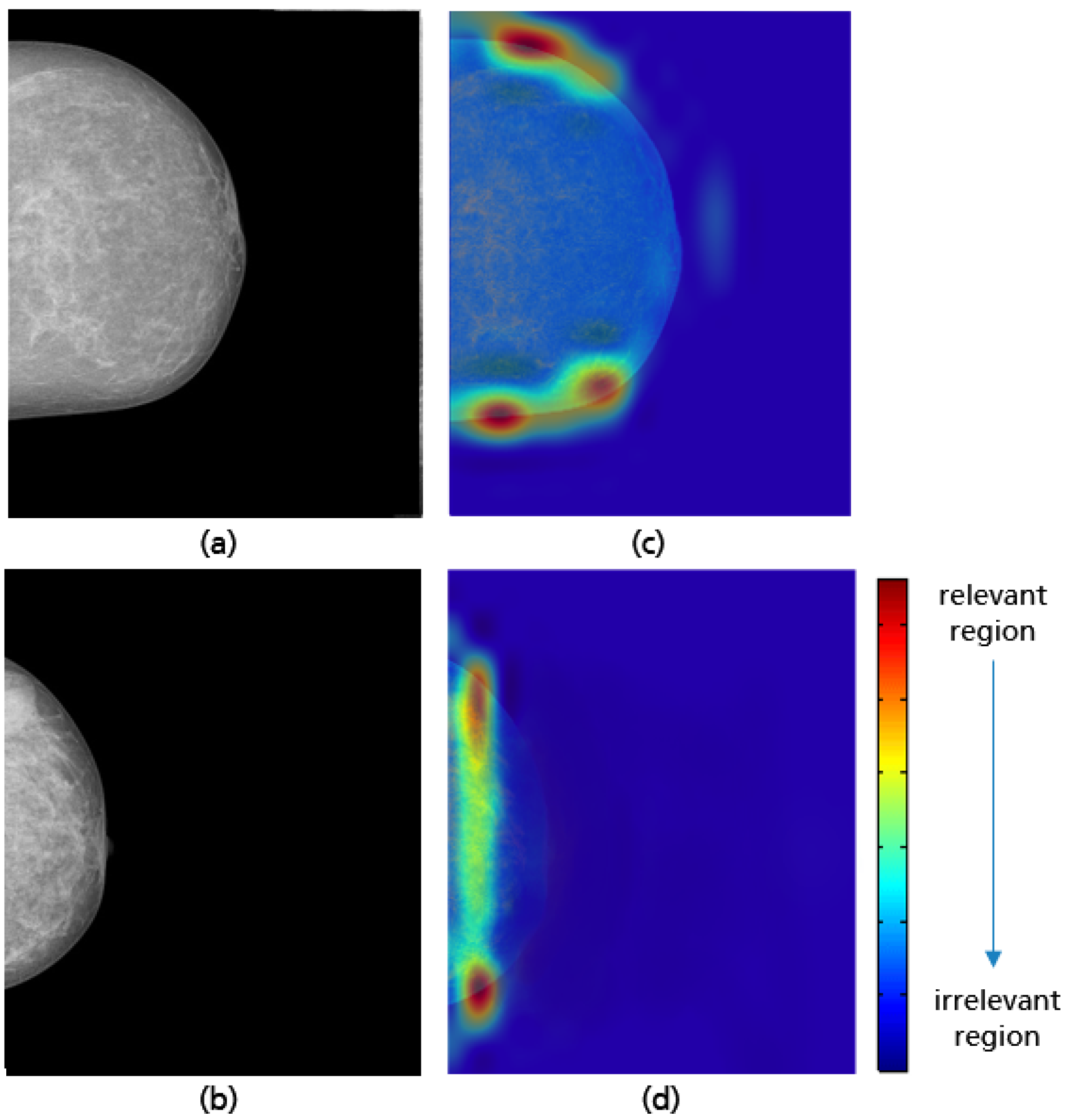Cancers 14 04704 g031 Cancers 14 04704 g031