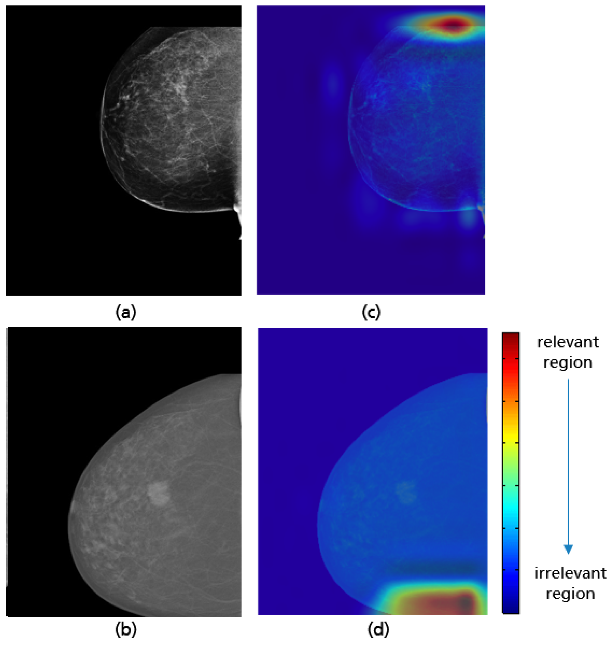 Cancers 14 04704 g032 Cancers 14 04704 g032