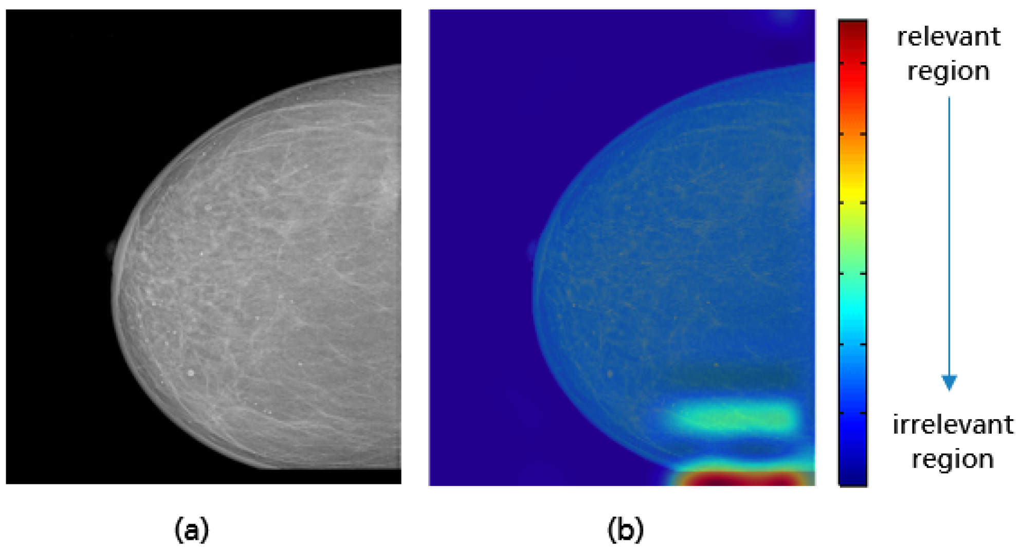 Cancers 14 04704 g033 Cancers 14 04704 g033