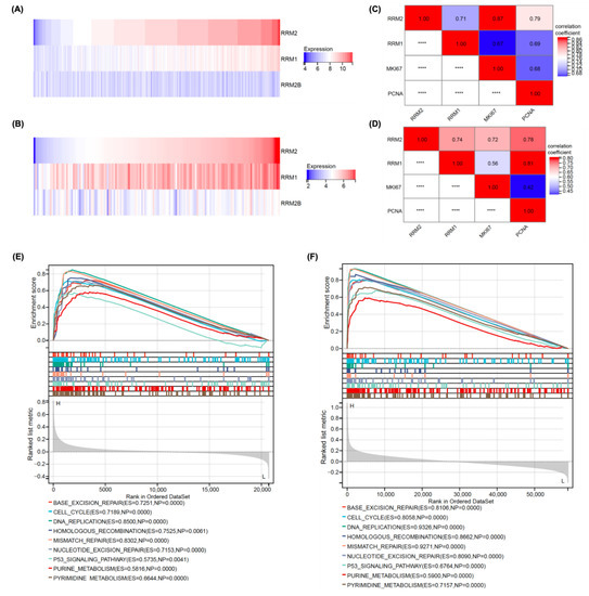 Identification of Monobenzone as a Novel Potential Anti