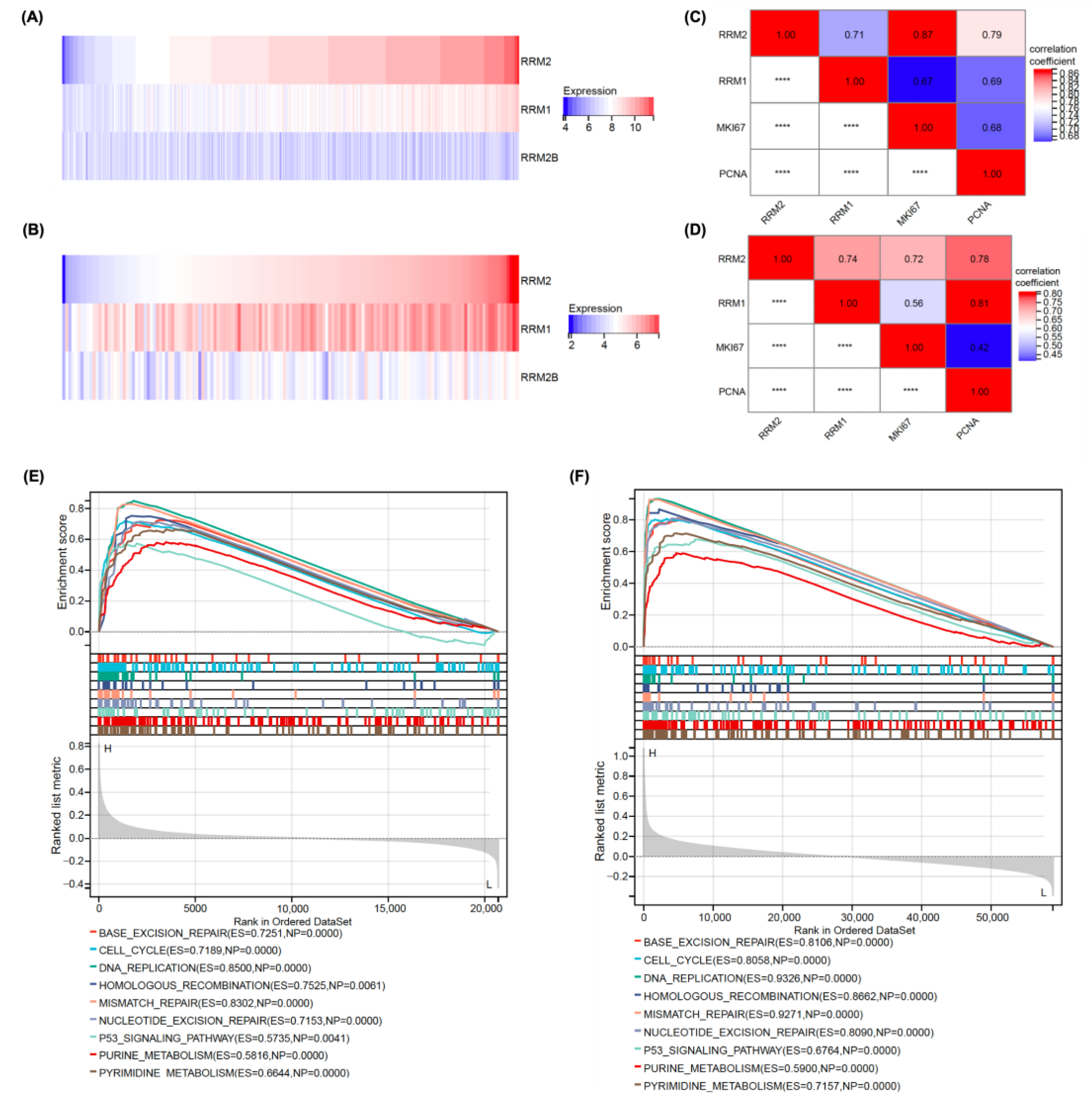 Cancers 14 04710 g001 Cancers 14 04710 g001