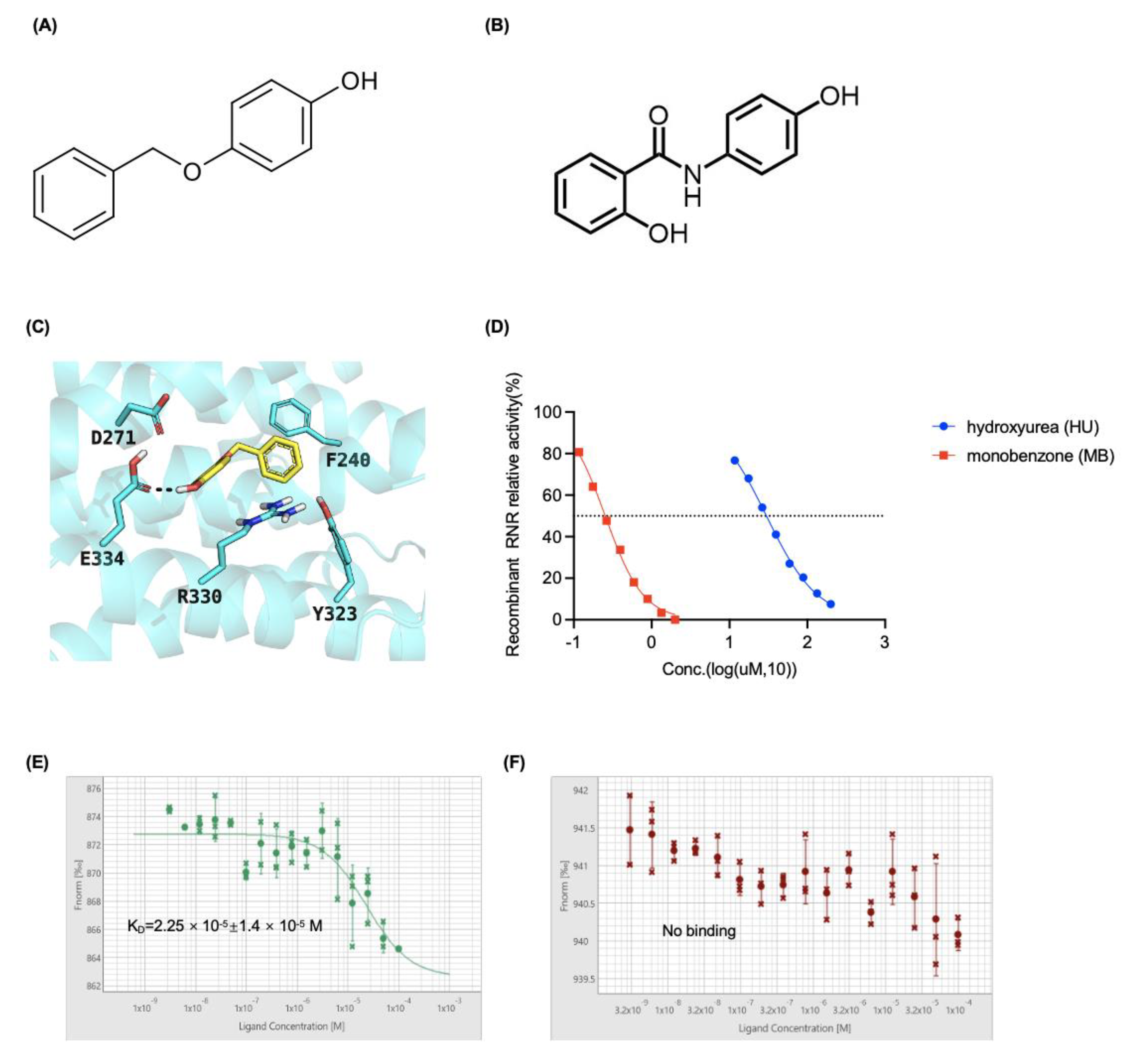 Cancers 14 04710 g002 Cancers 14 04710 g002