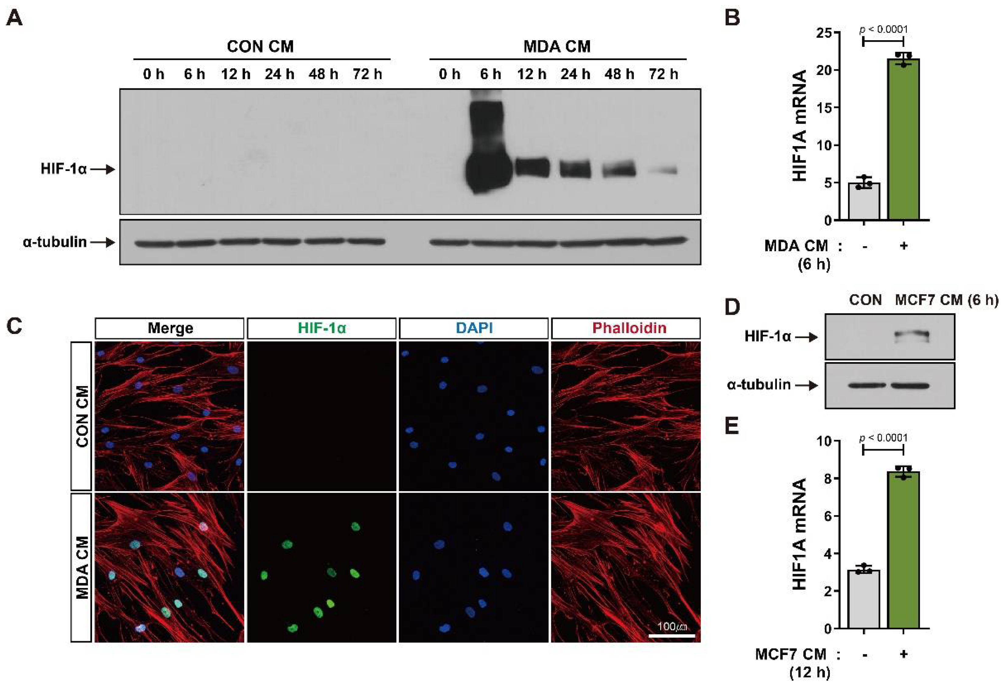 Cancers 14 04711 g001 Cancers 14 04711 g001