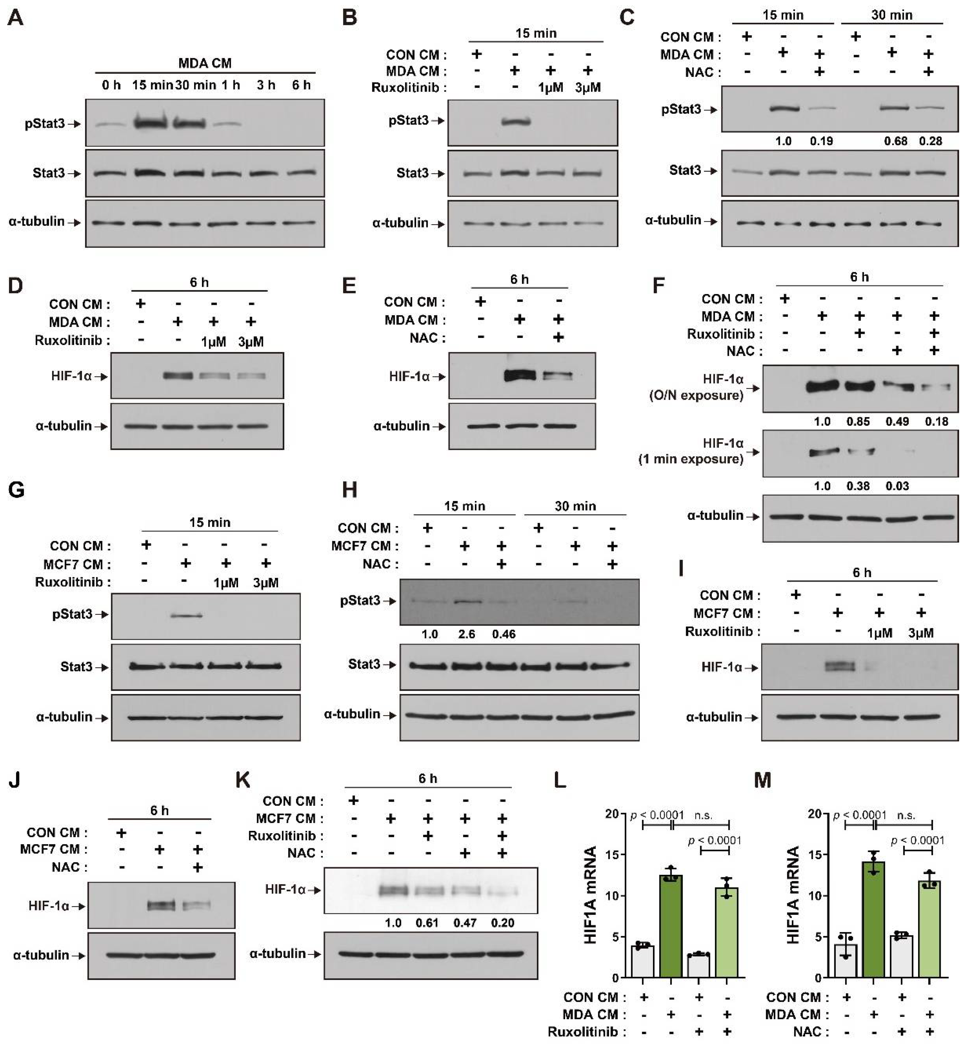 Cancers 14 04711 g002 Cancers 14 04711 g002