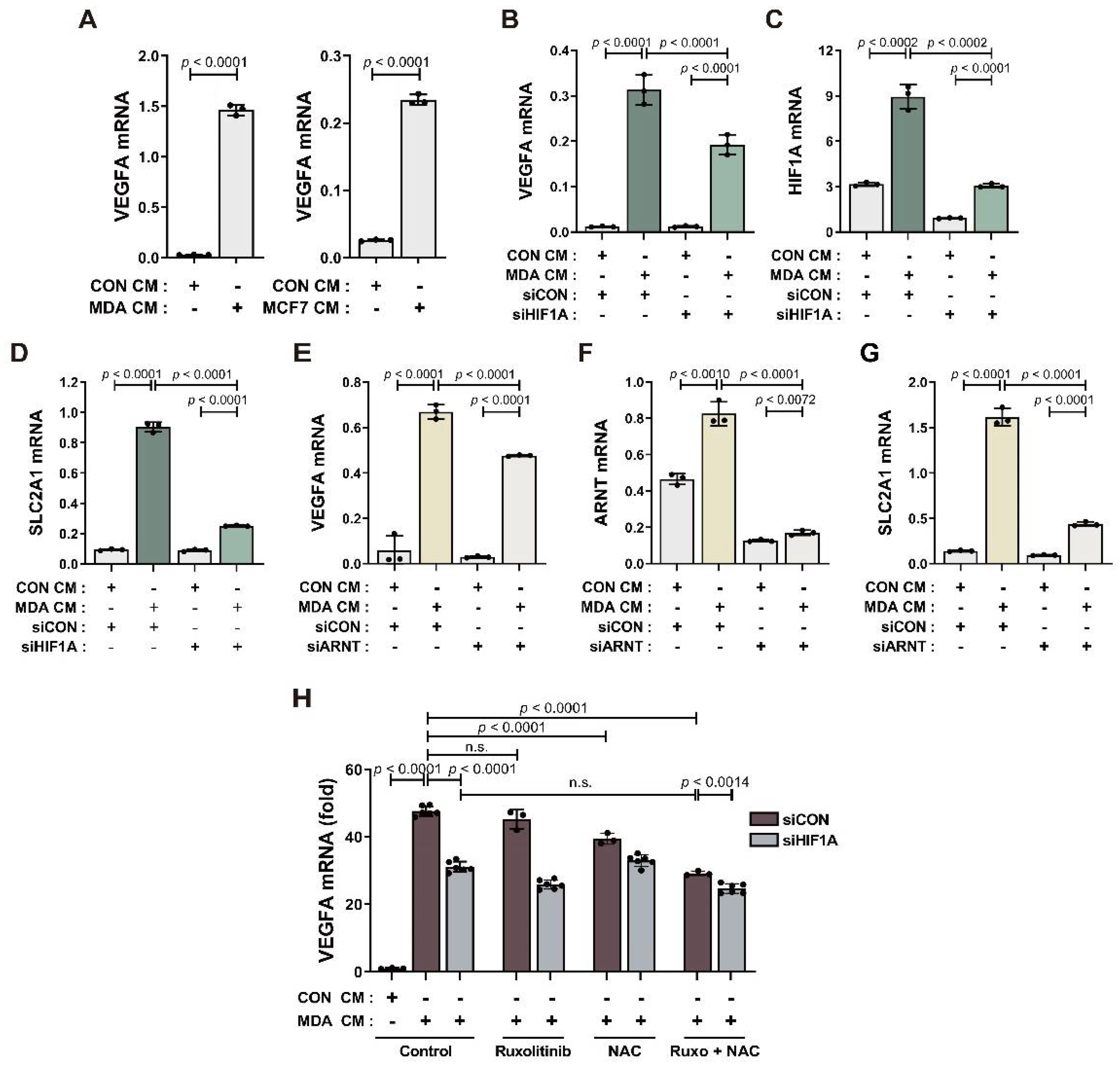 Cancers 14 04711 g003 Cancers 14 04711 g003