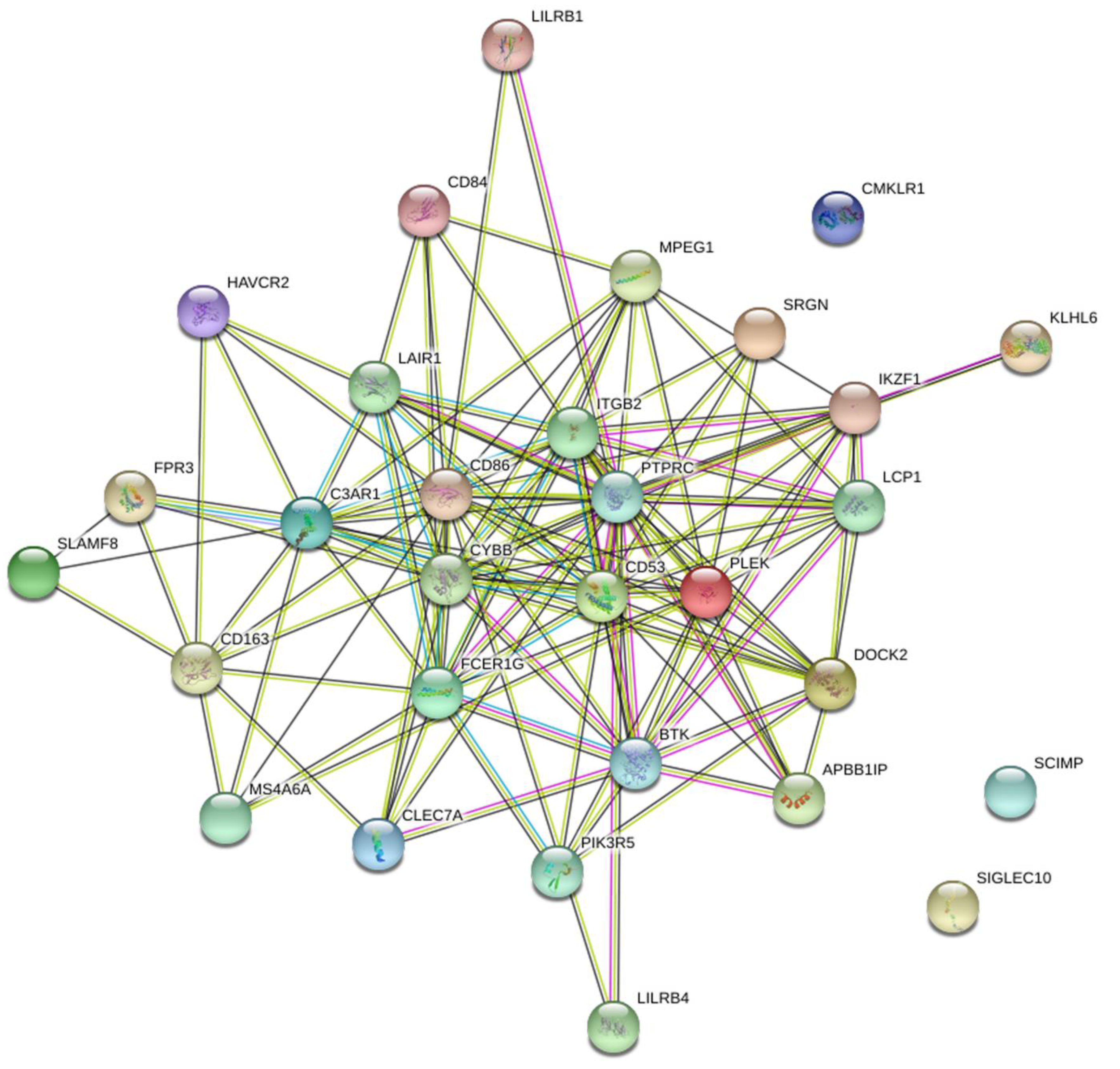 Cancers 14 04713 g005 550