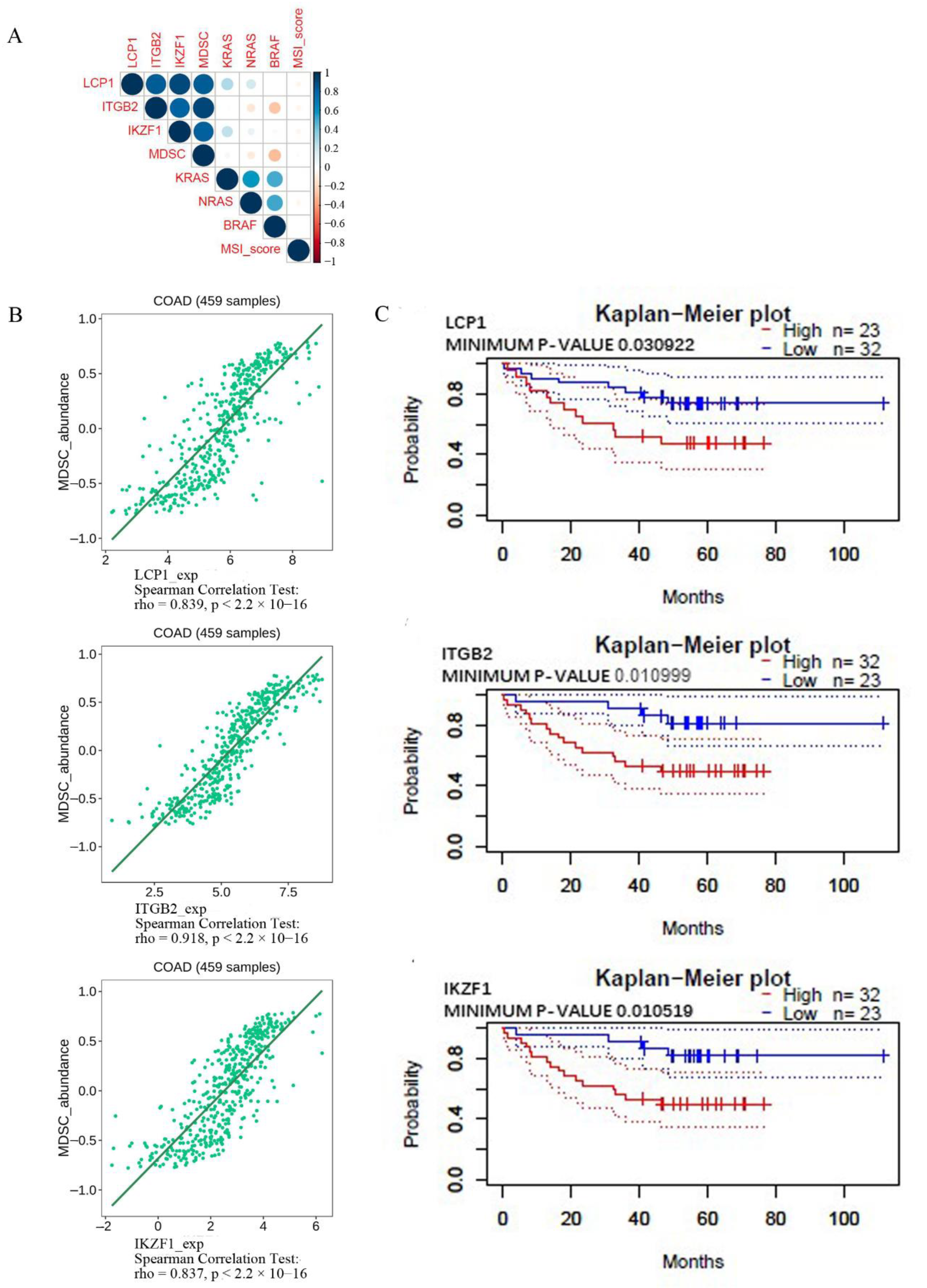 Cancers 14 04713 g007 550