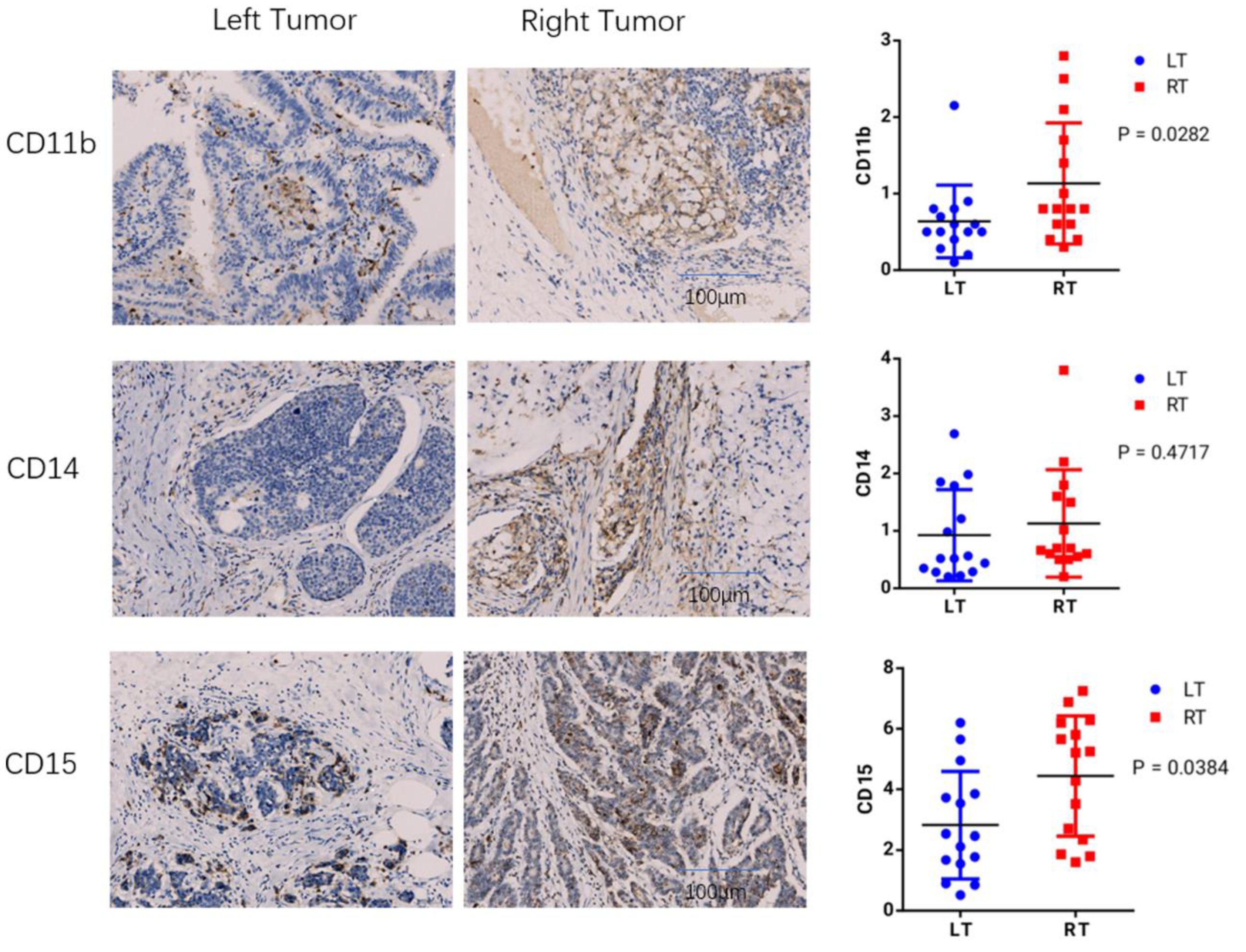 Cancers 14 04713 g008 550