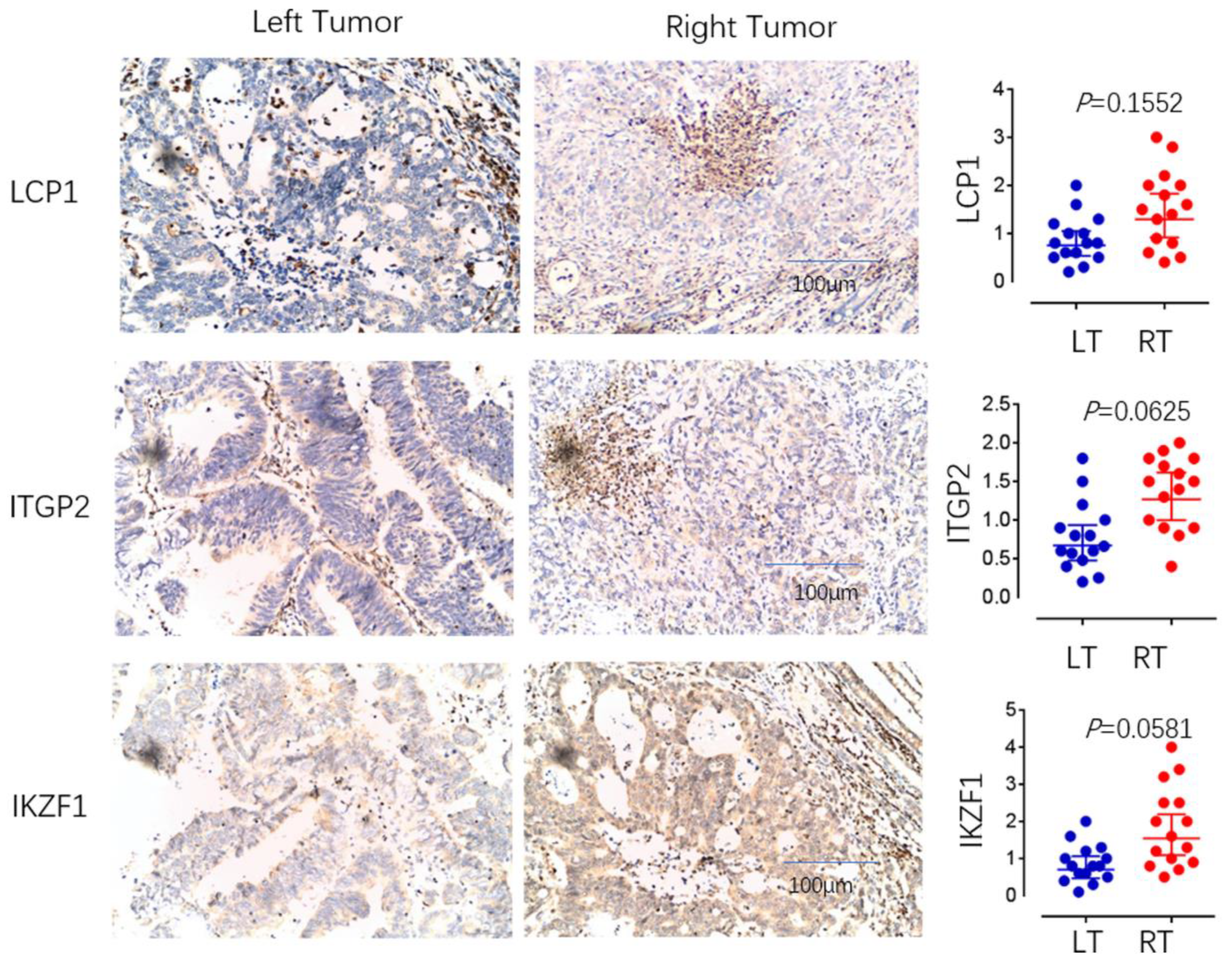 Cancers 14 04713 g009 550