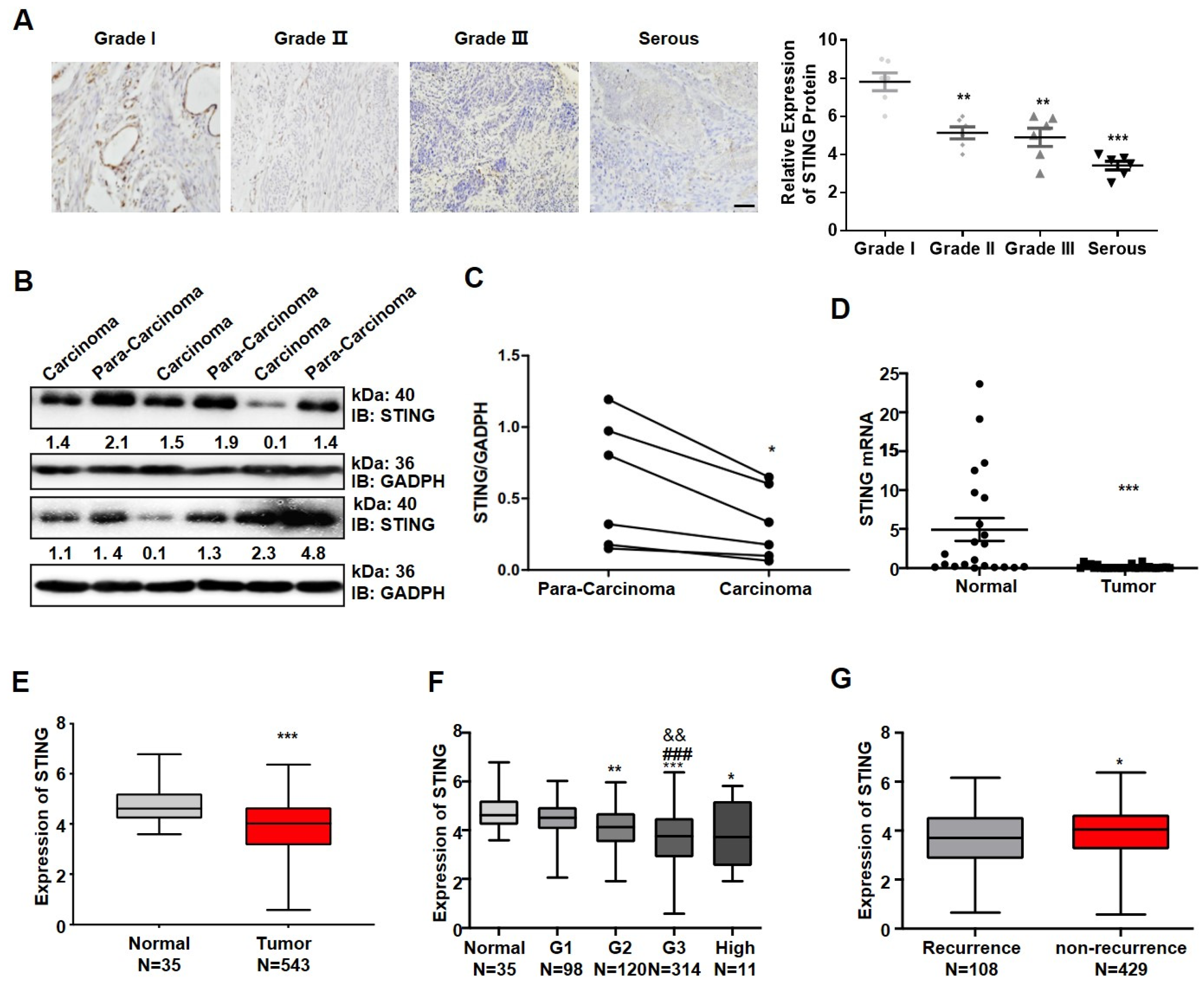 Cancers 14 04718 g001 Cancers 14 04718 g001