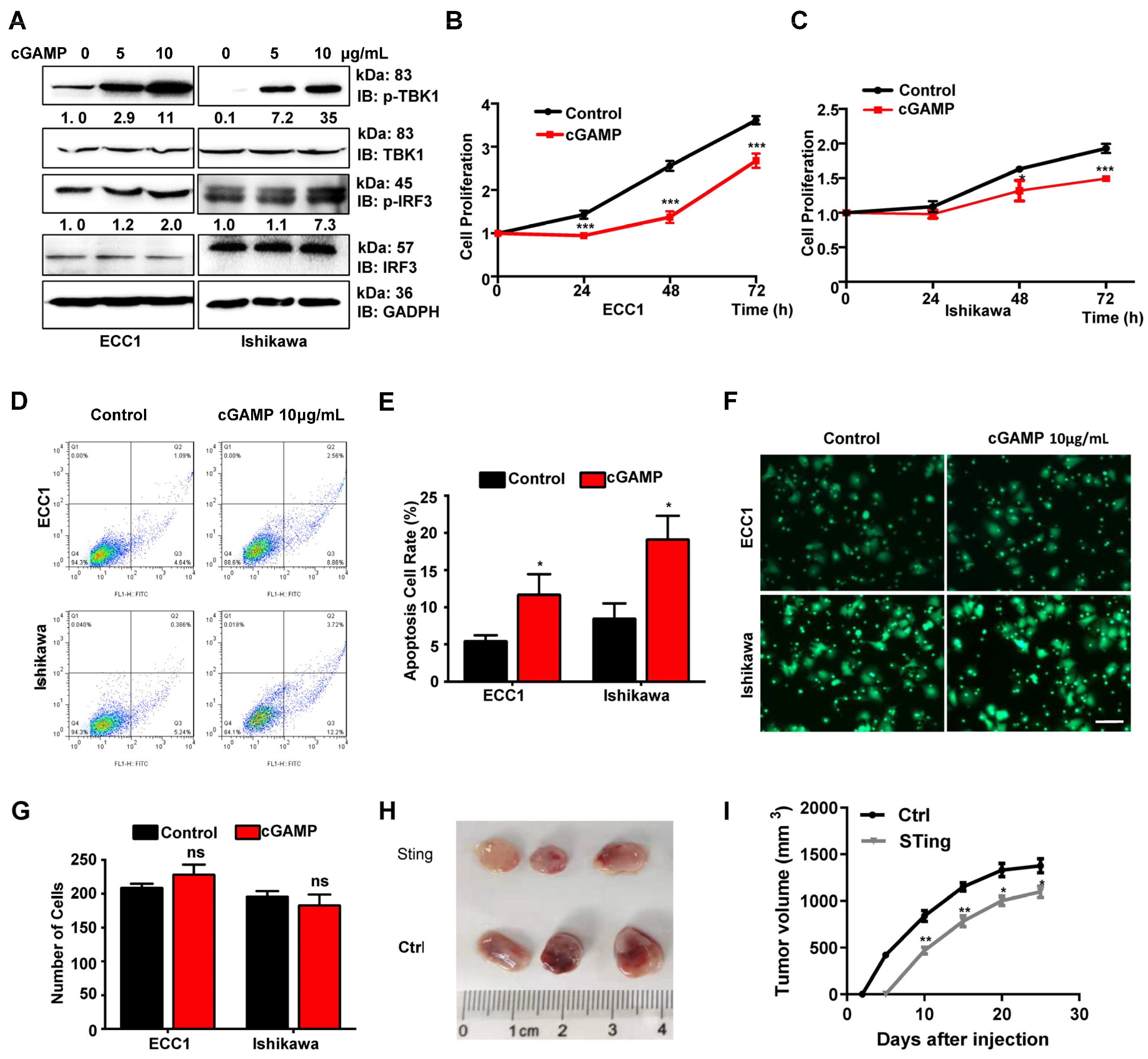 Cancers 14 04718 g002 Cancers 14 04718 g002