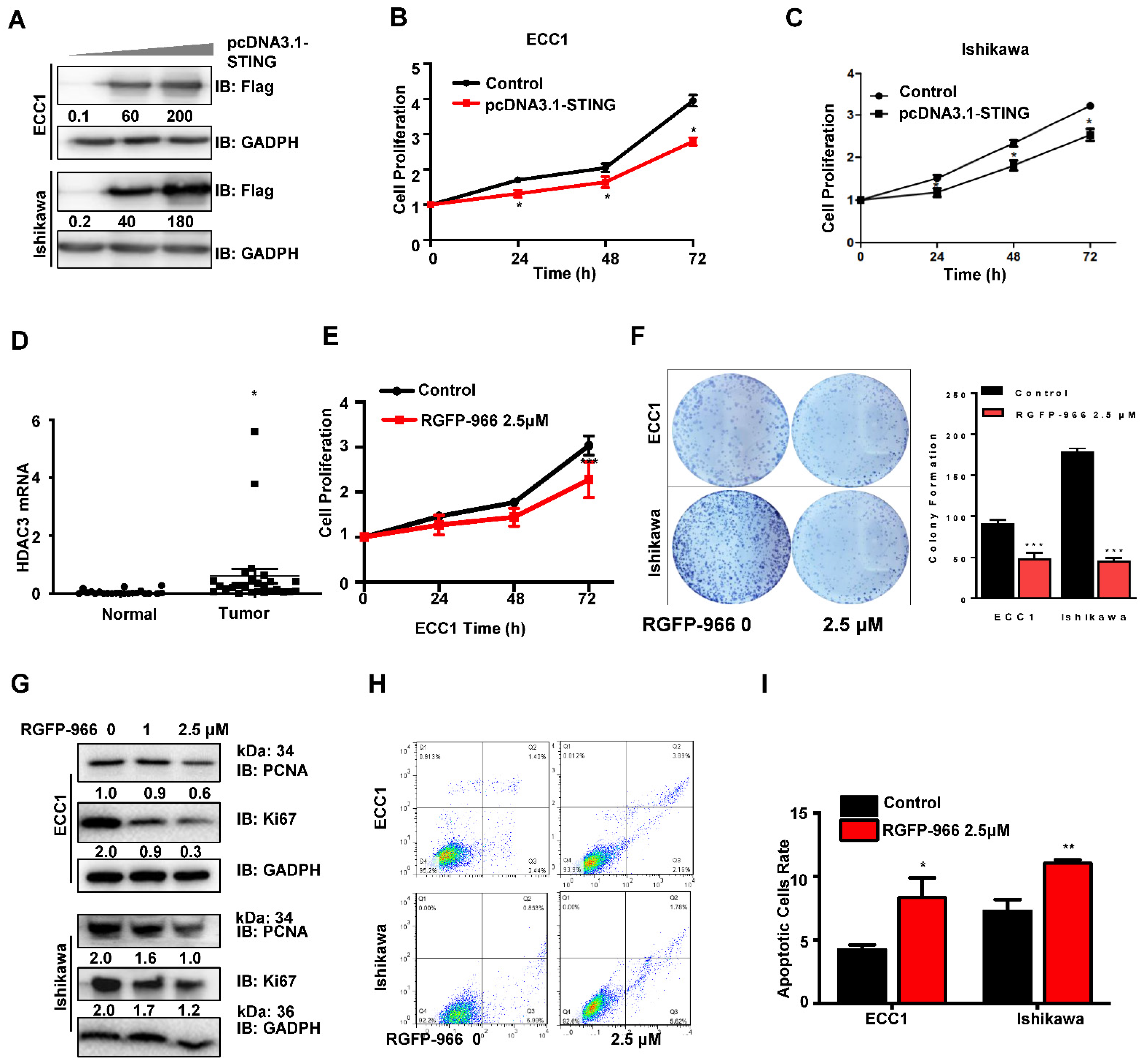 Cancers 14 04718 g003 Cancers 14 04718 g003