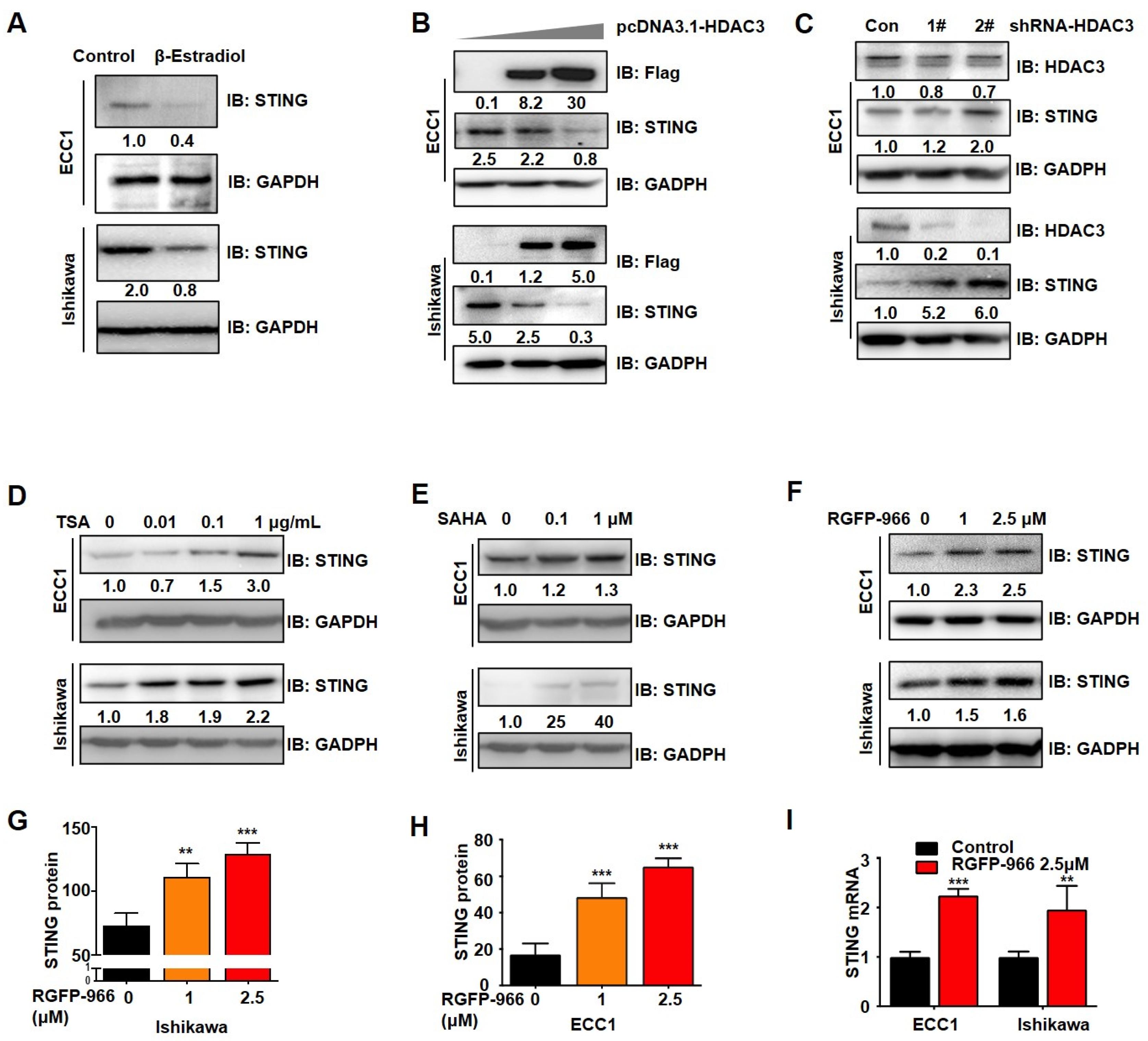 Cancers 14 04718 g004 Cancers 14 04718 g004