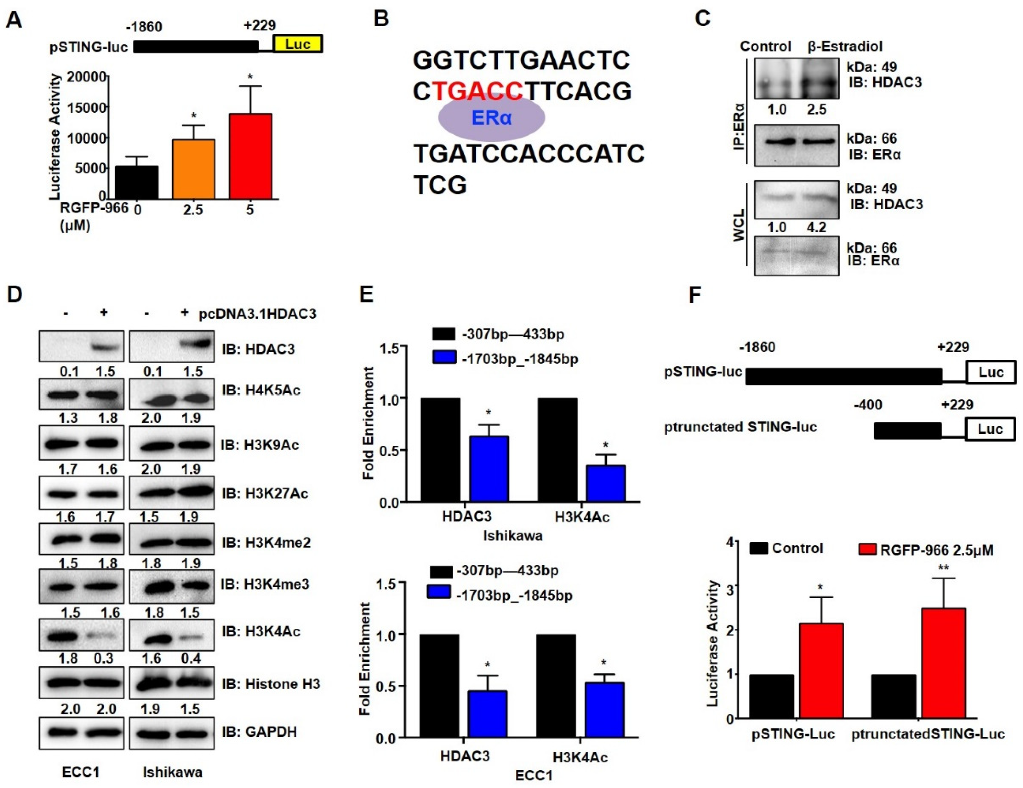Cancers 14 04718 g005 Cancers 14 04718 g005