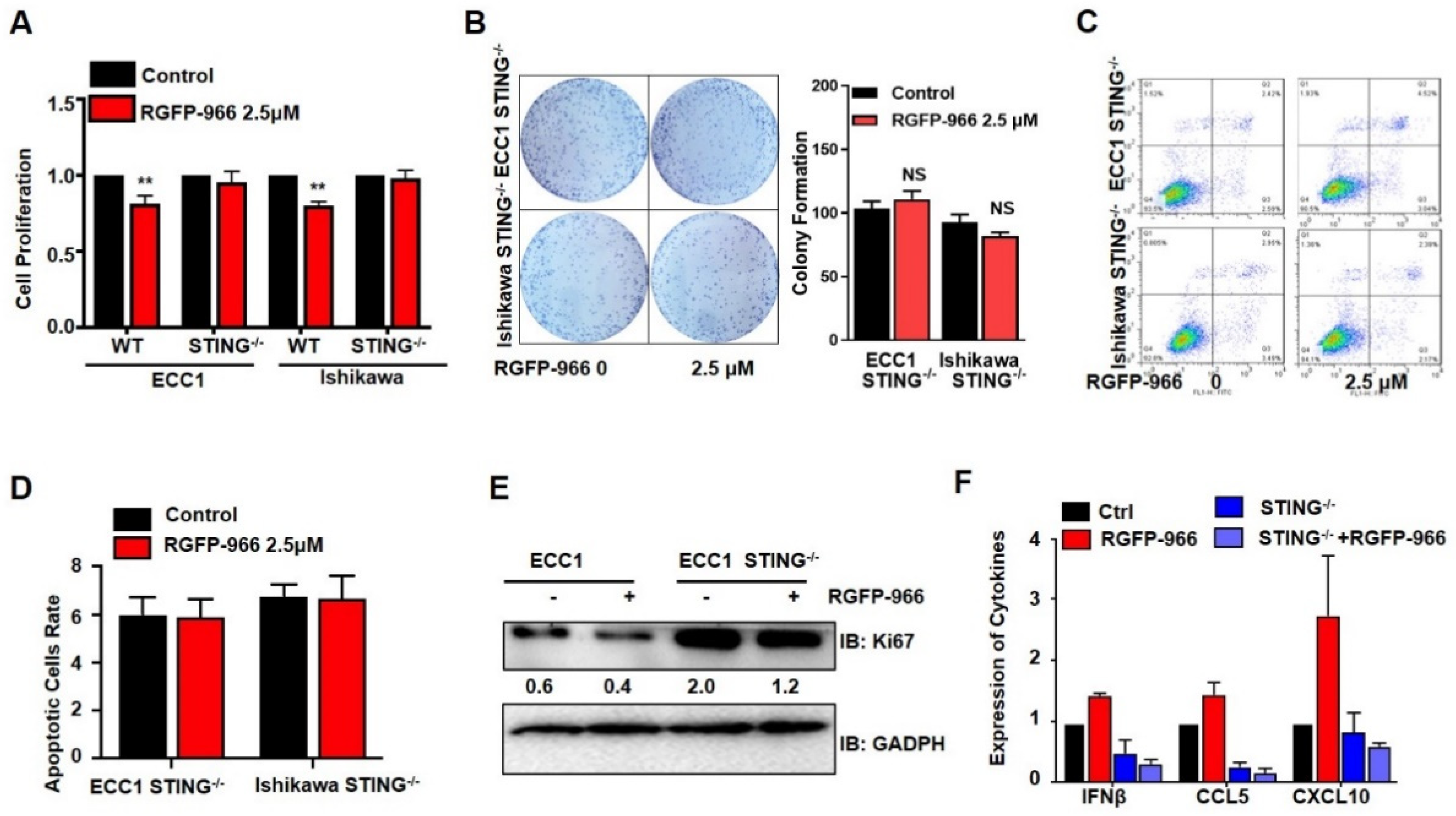 Cancers 14 04718 g006 Cancers 14 04718 g006