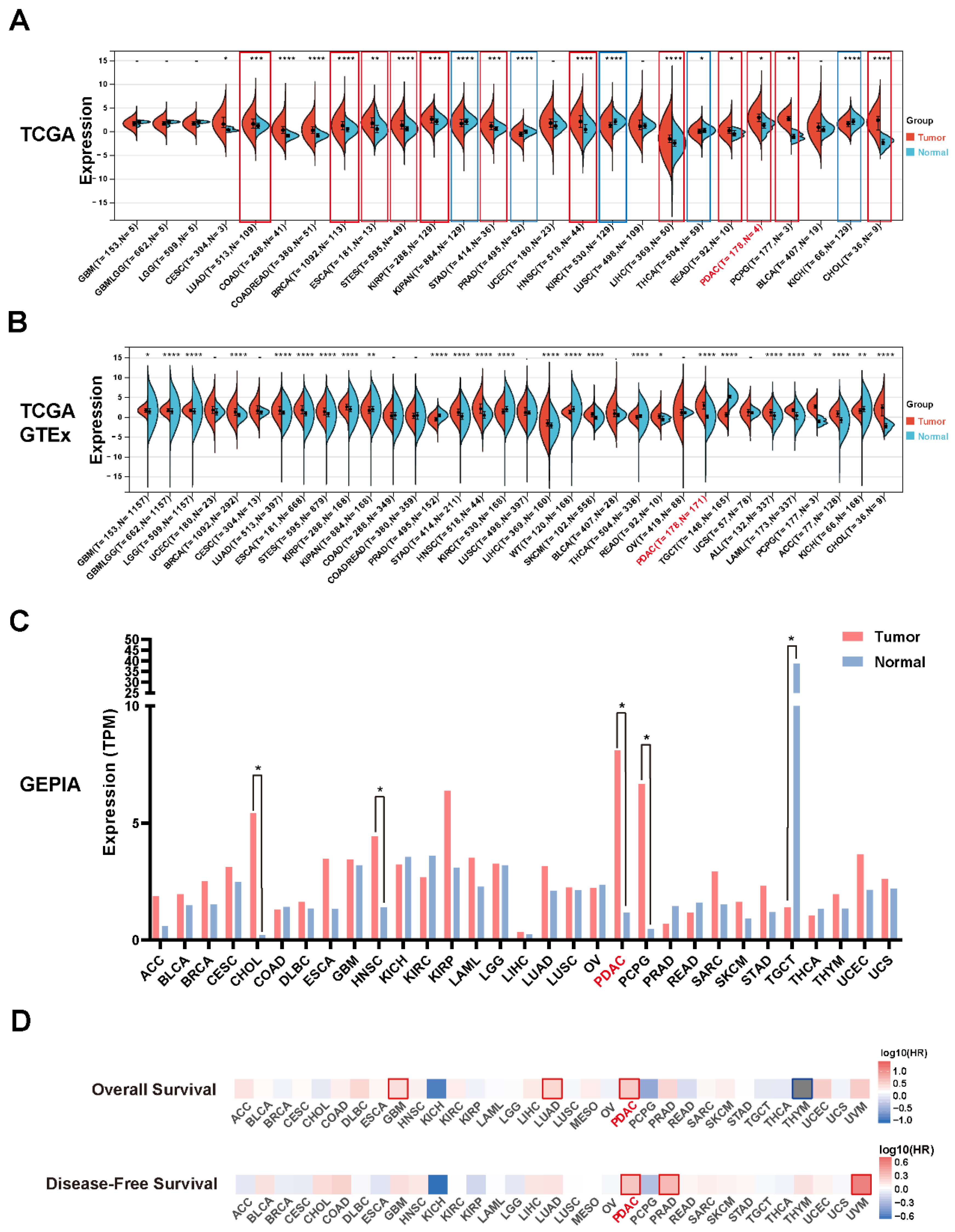 Cancers 14 04722 g001 Cancers 14 04722 g001