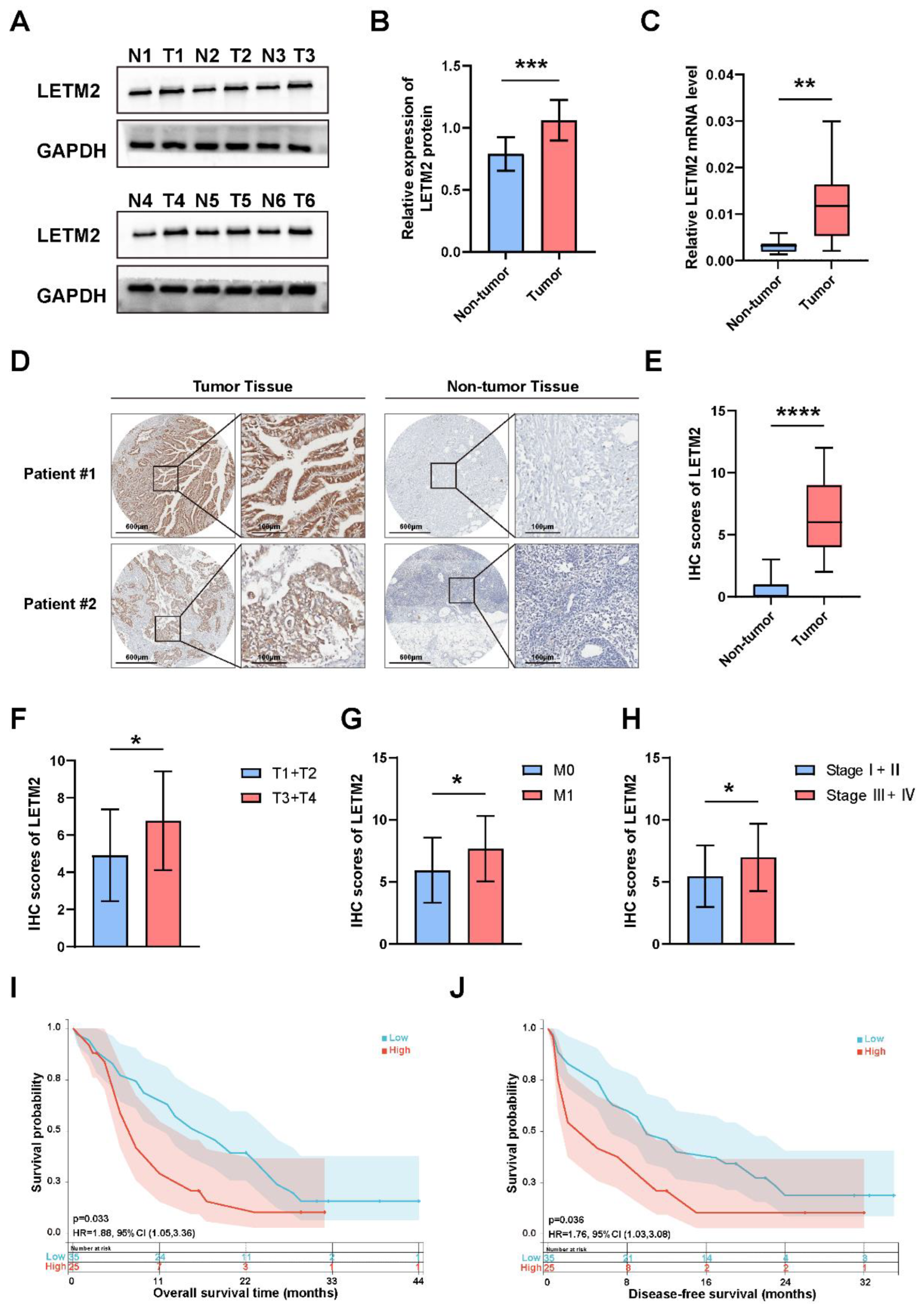 Cancers 14 04722 g003 Cancers 14 04722 g003