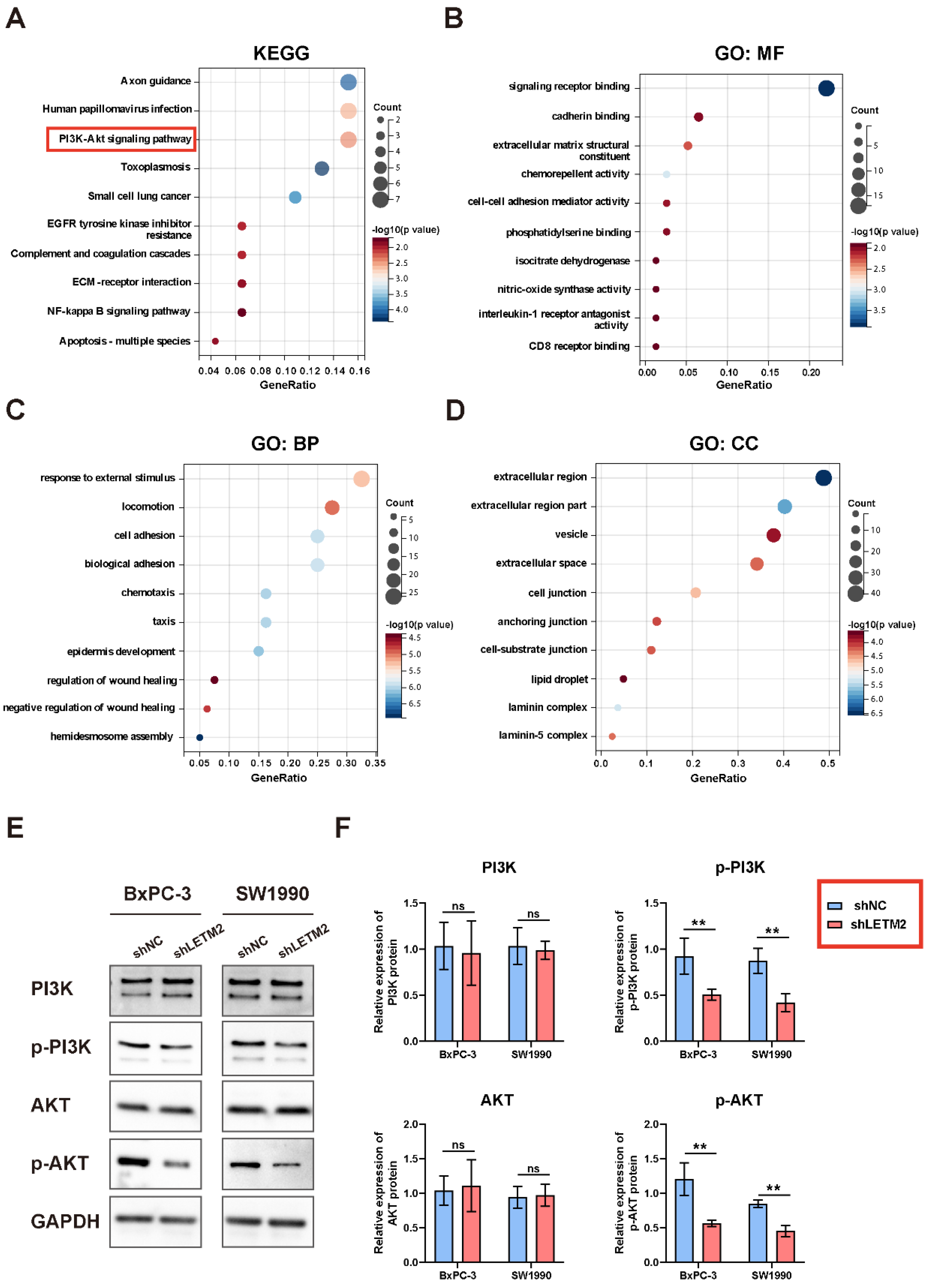 Cancers 14 04722 g006 Cancers 14 04722 g006